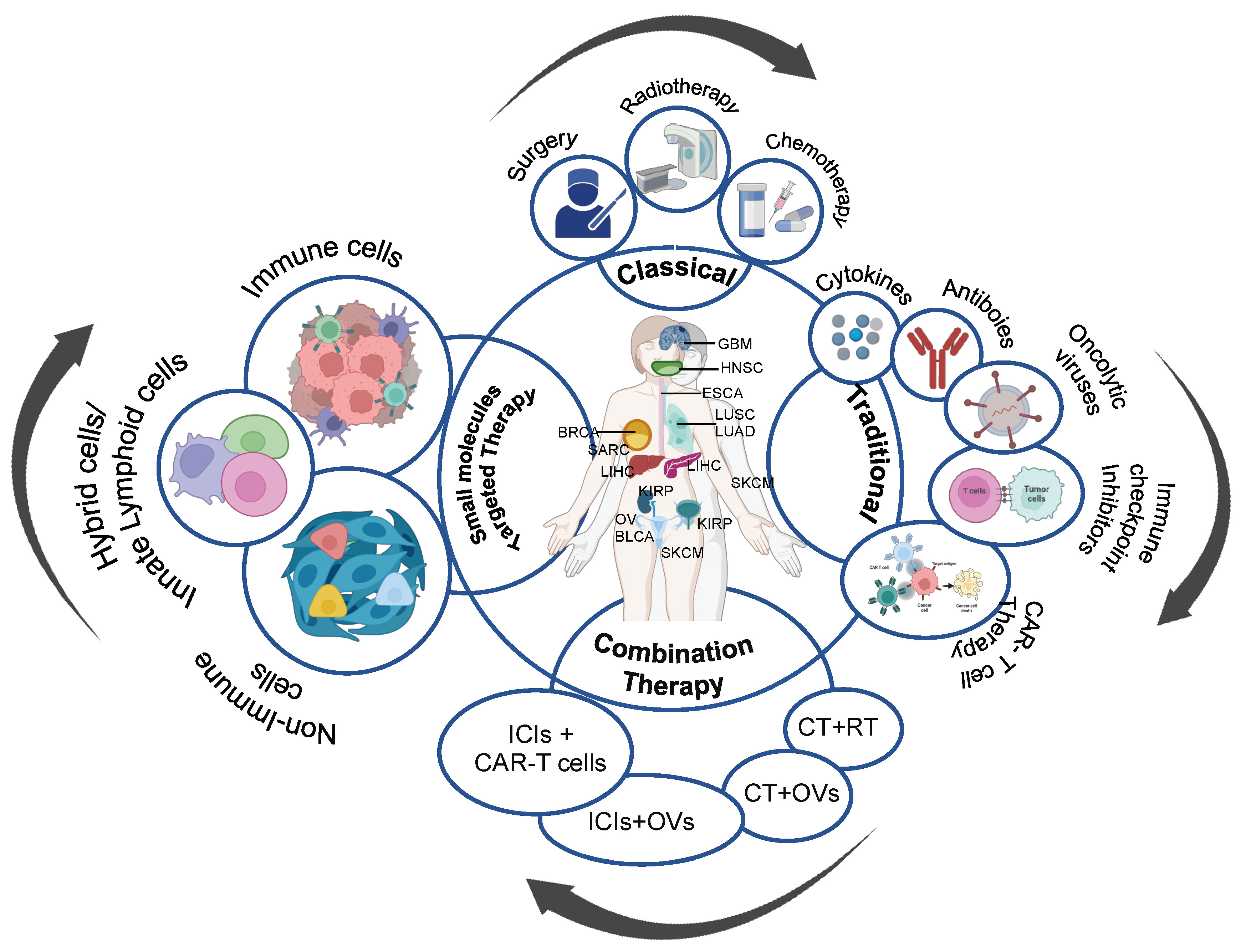Biomedicines 11 02621 g001