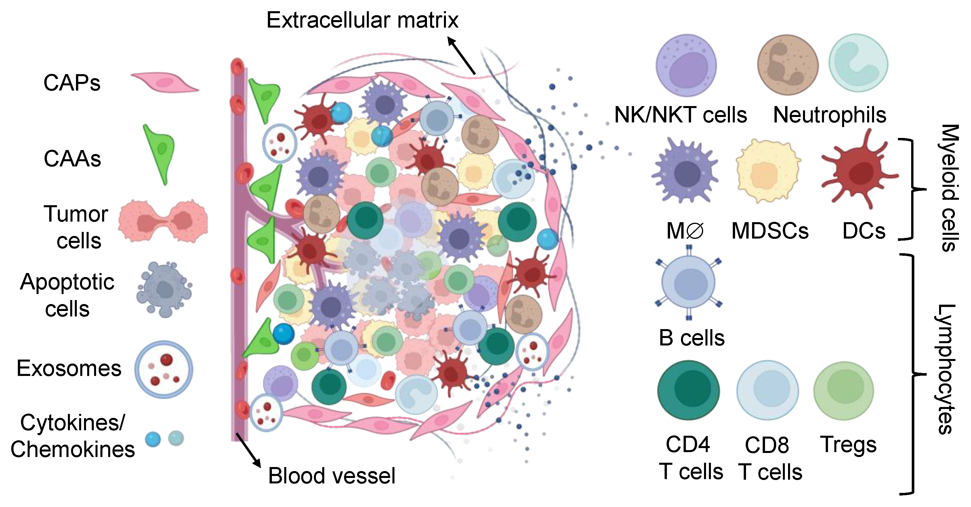 Biomedicines 11 02621 g002