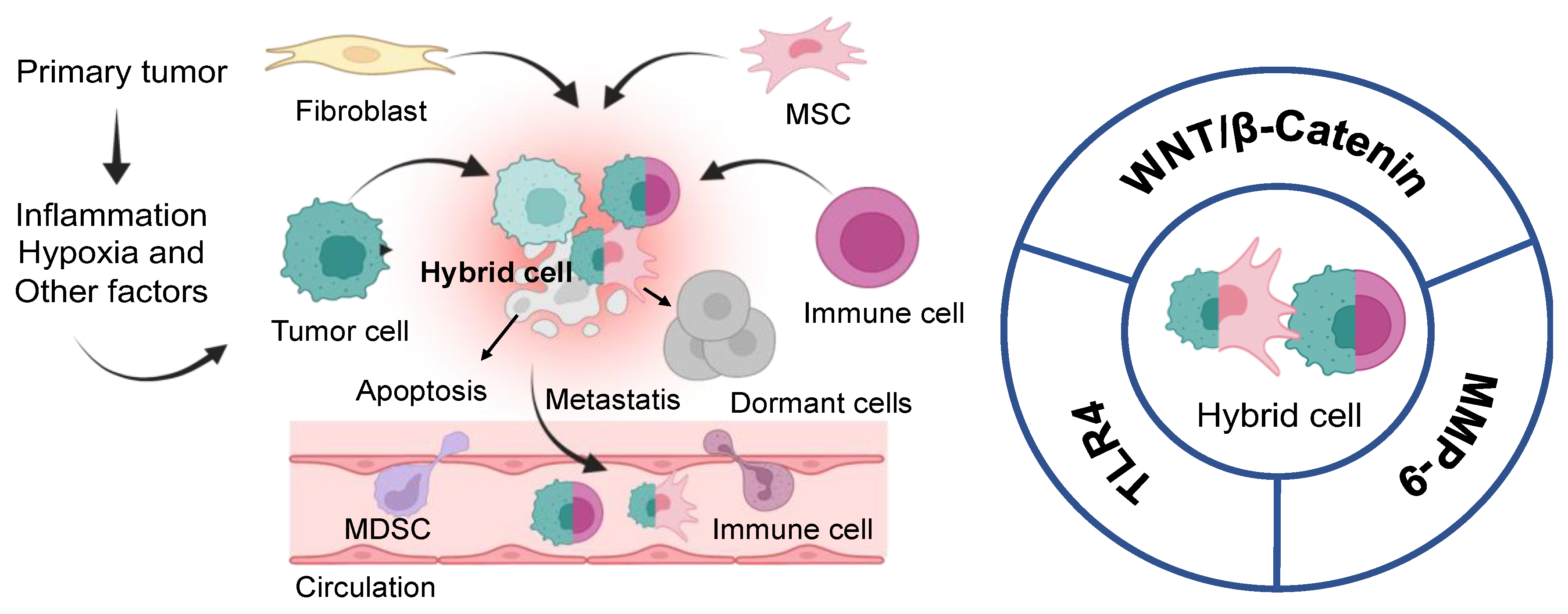 Biomedicines 11 02621 g003