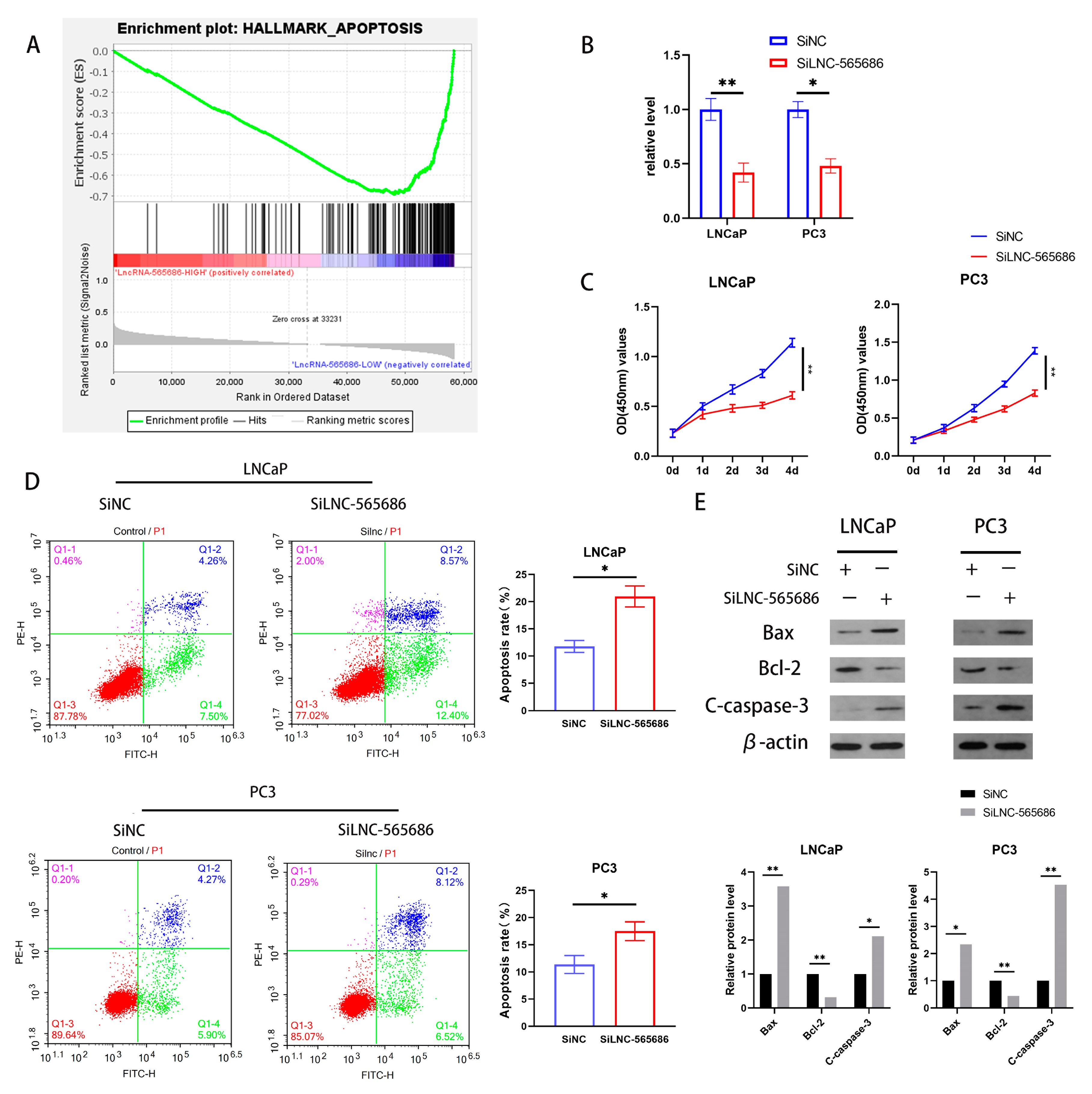 Biomedicines 11 02627 g002