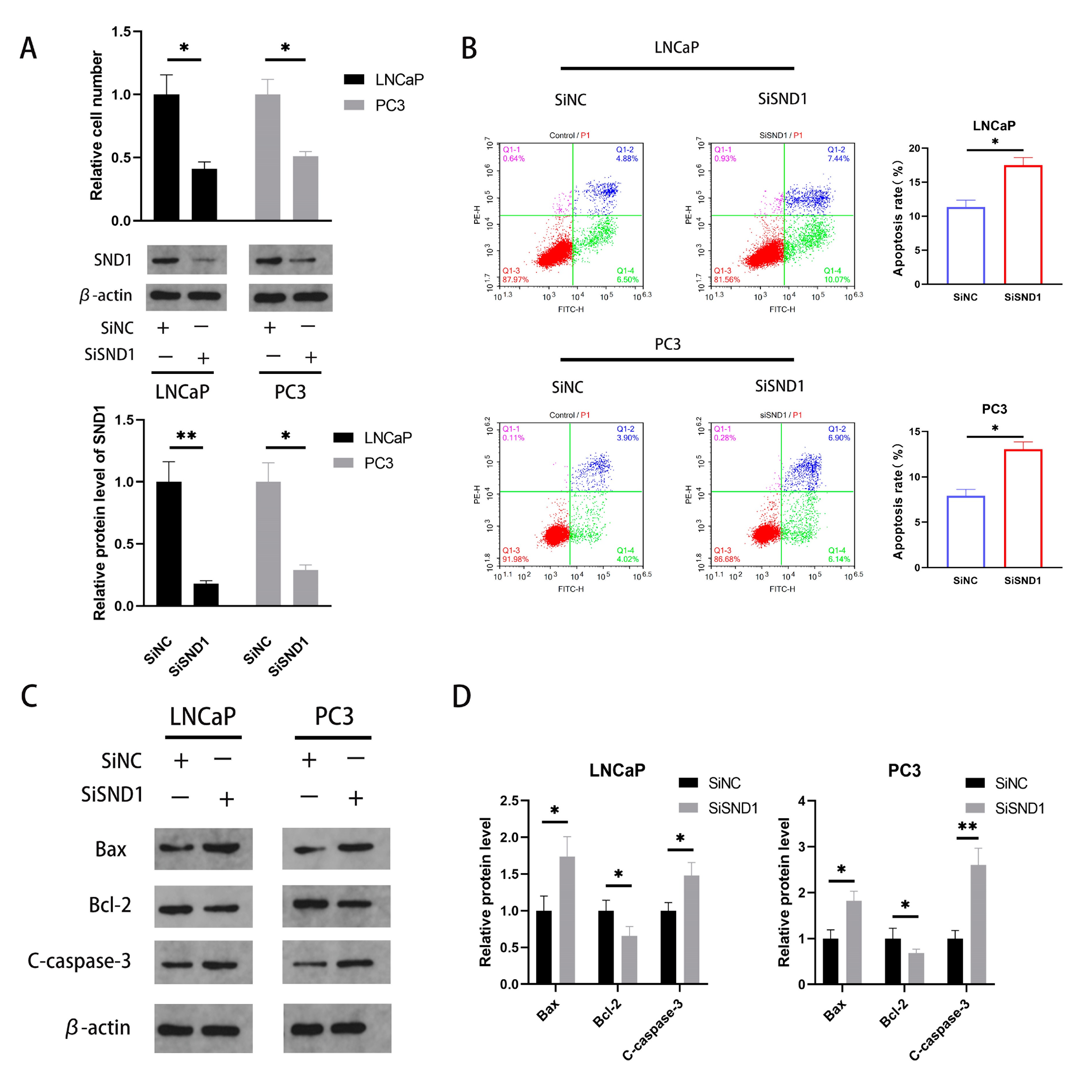 Biomedicines 11 02627 g004