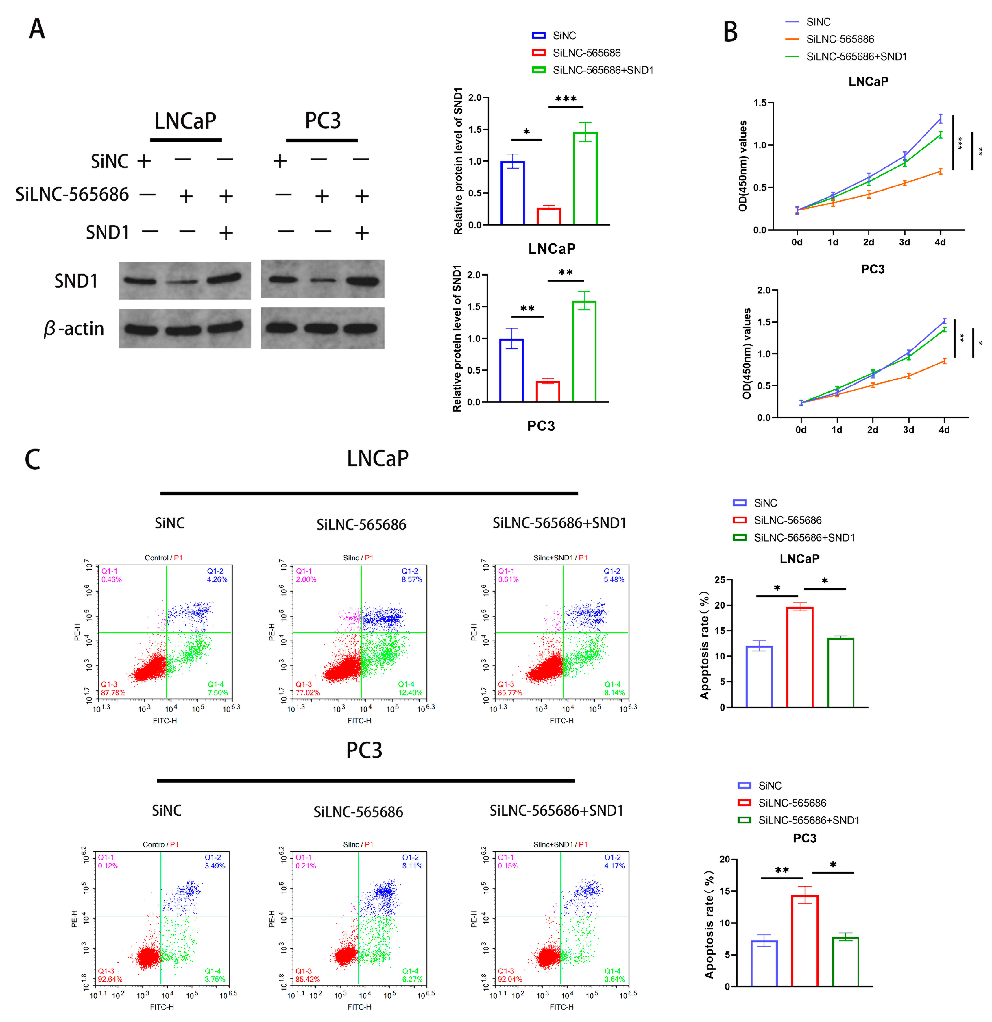 Biomedicines 11 02627 g005