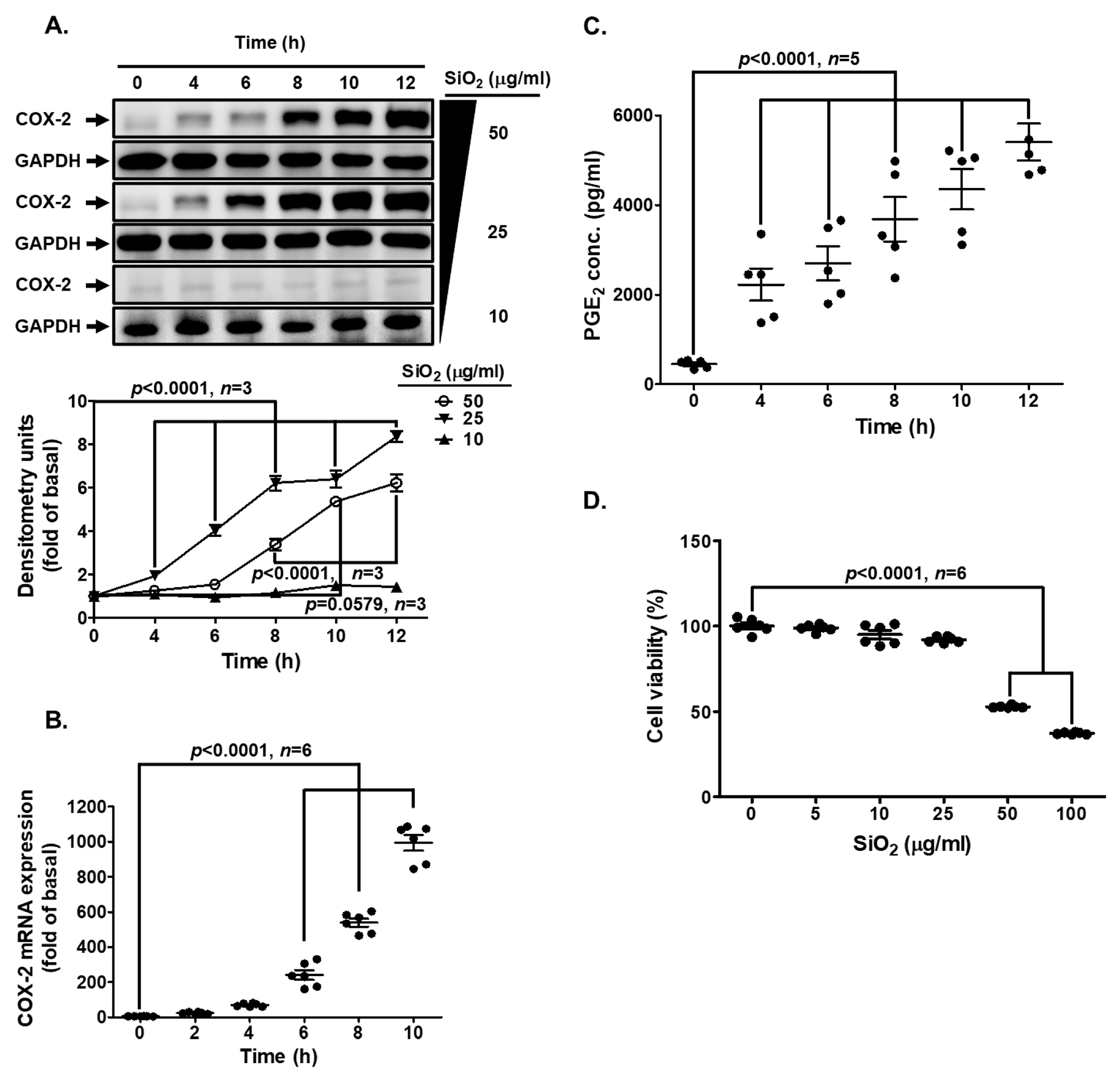 Biomedicines 11 02628 g001