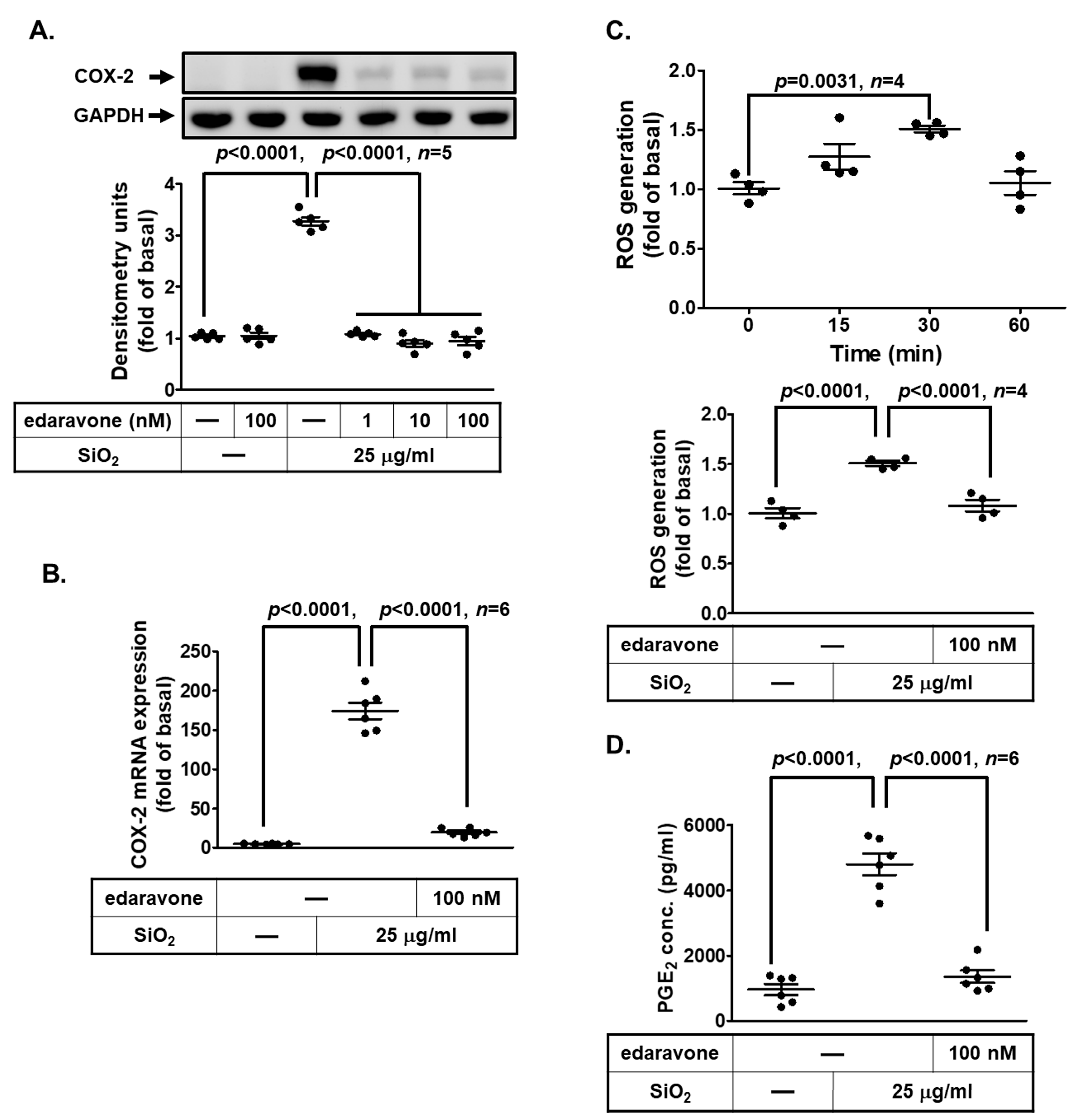 Biomedicines 11 02628 g003