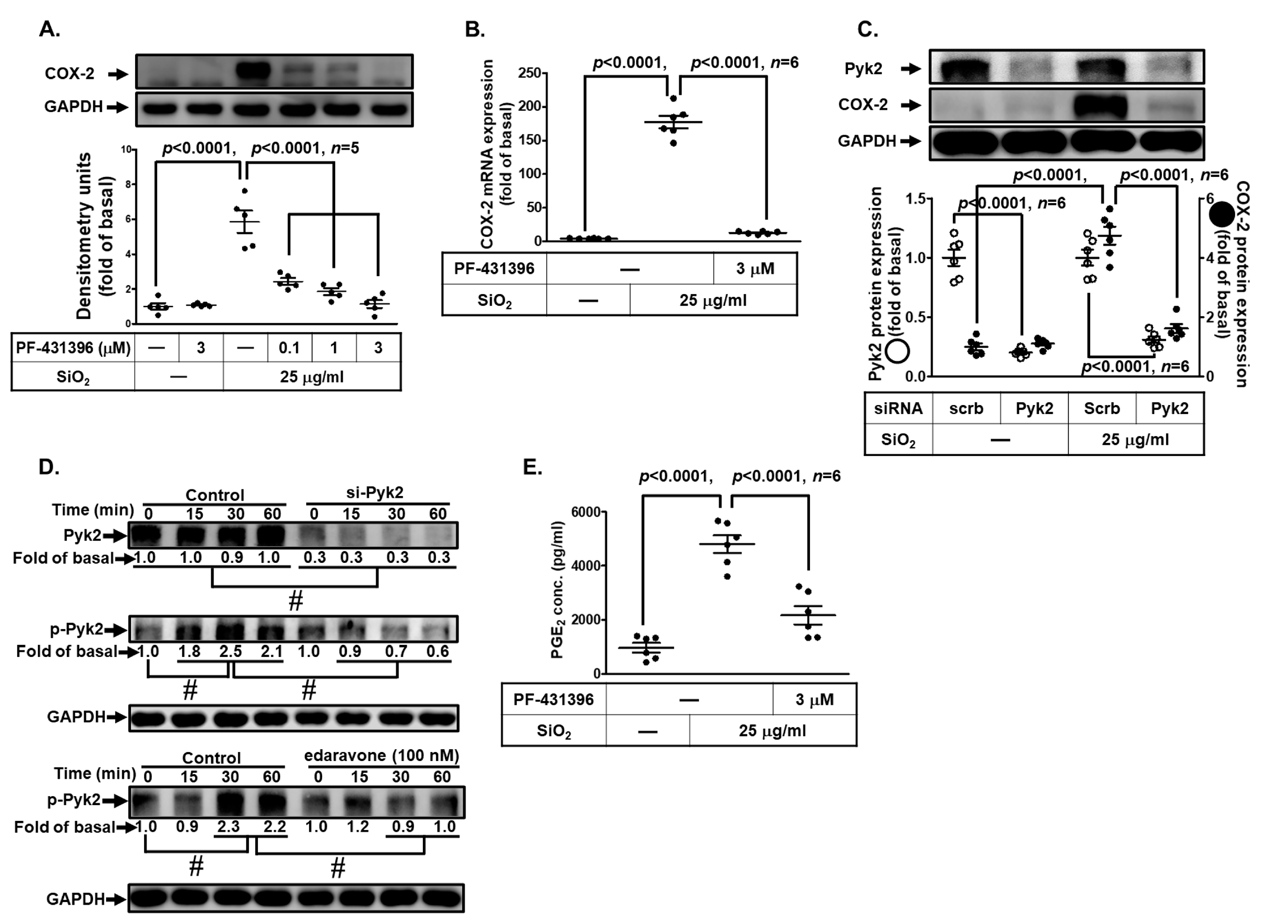 Biomedicines 11 02628 g004