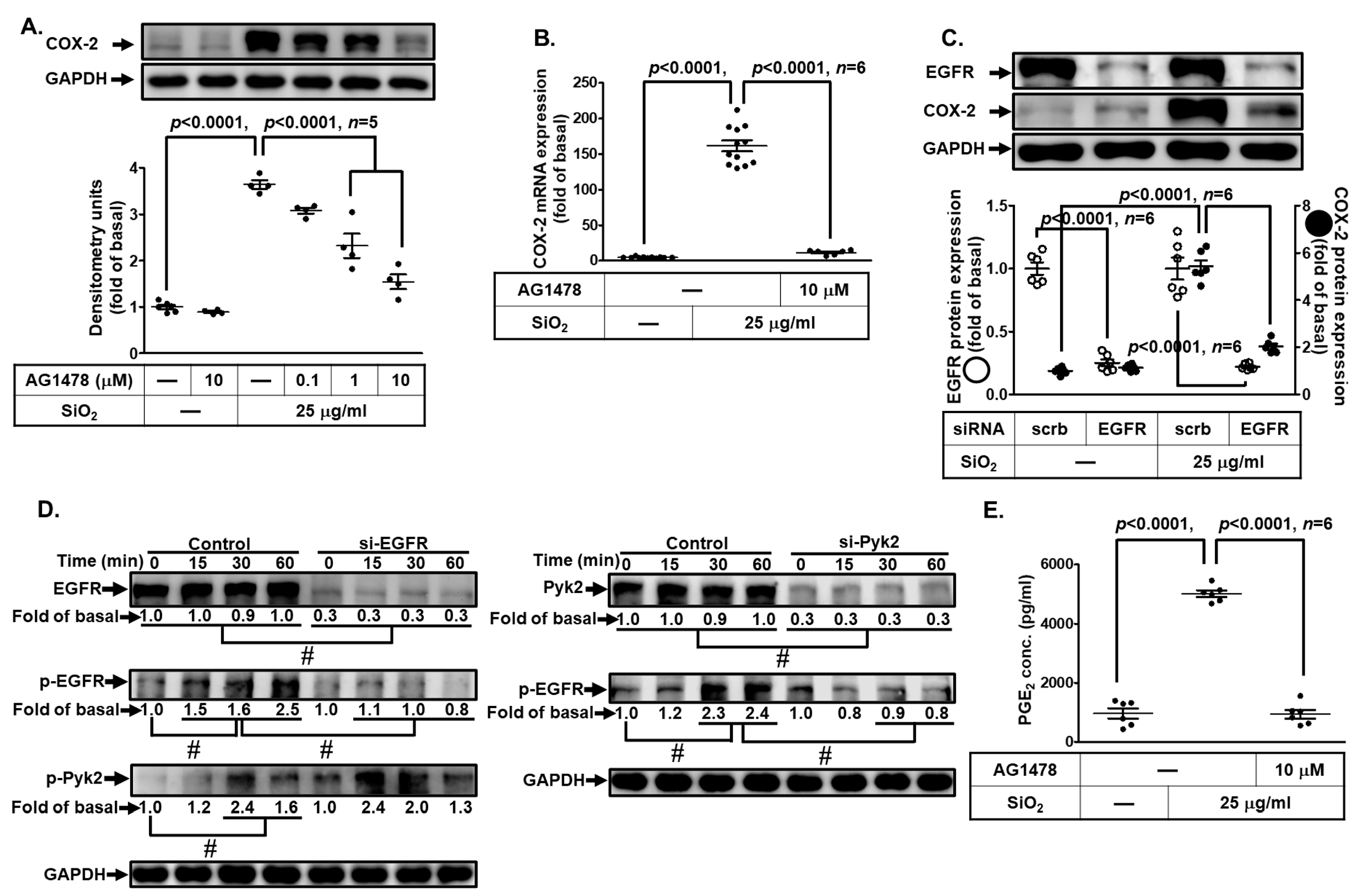Biomedicines 11 02628 g005