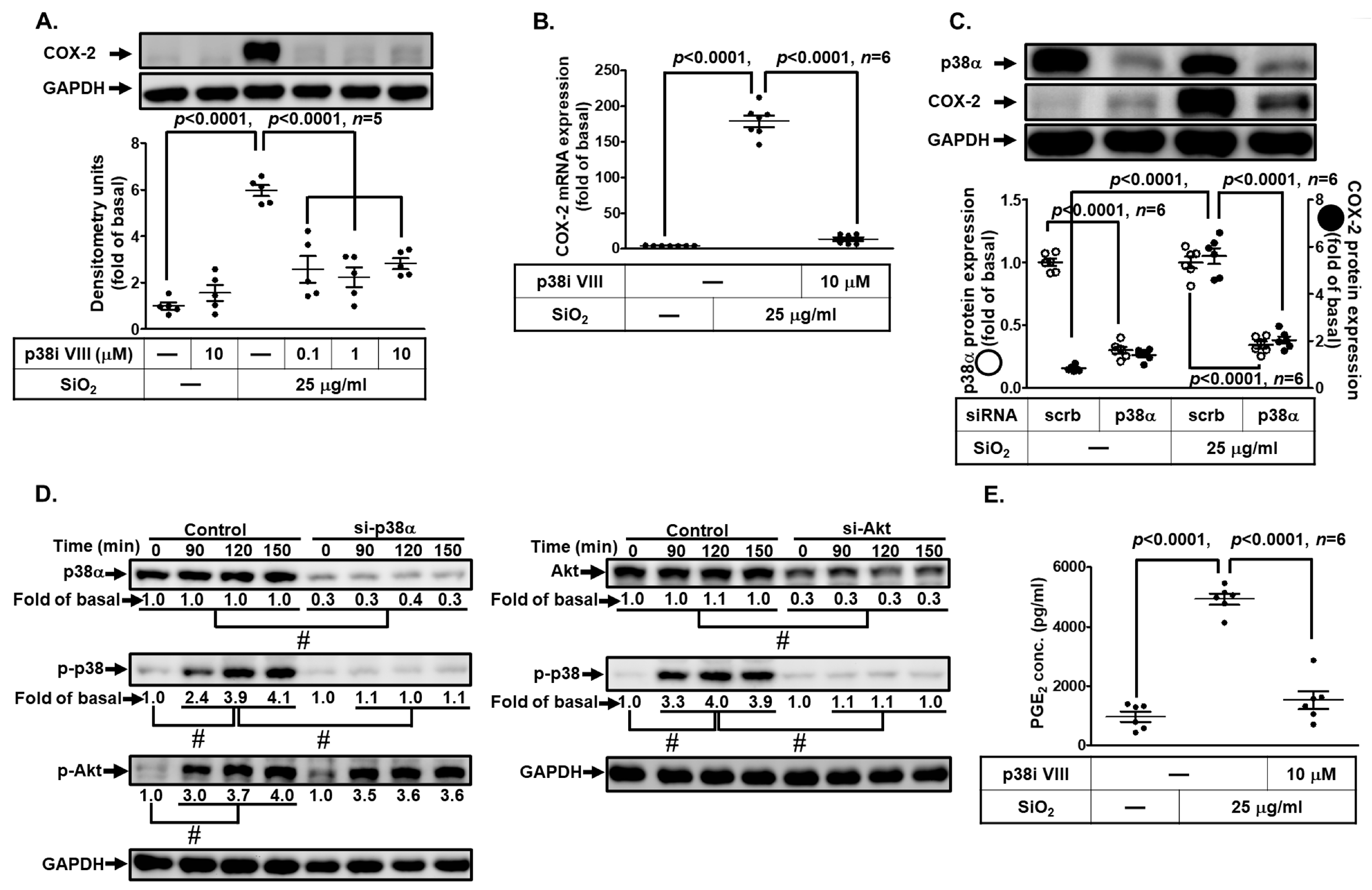 Biomedicines 11 02628 g007
