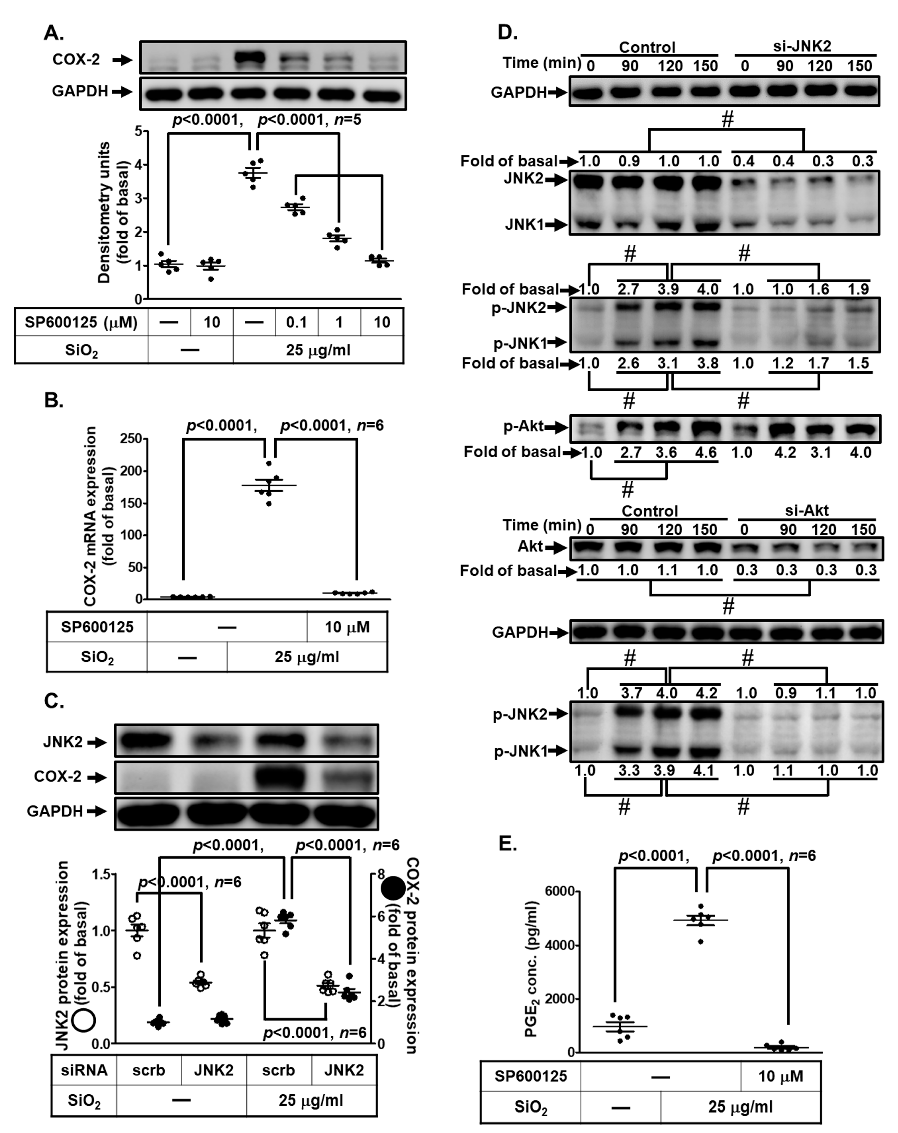 Biomedicines 11 02628 g008