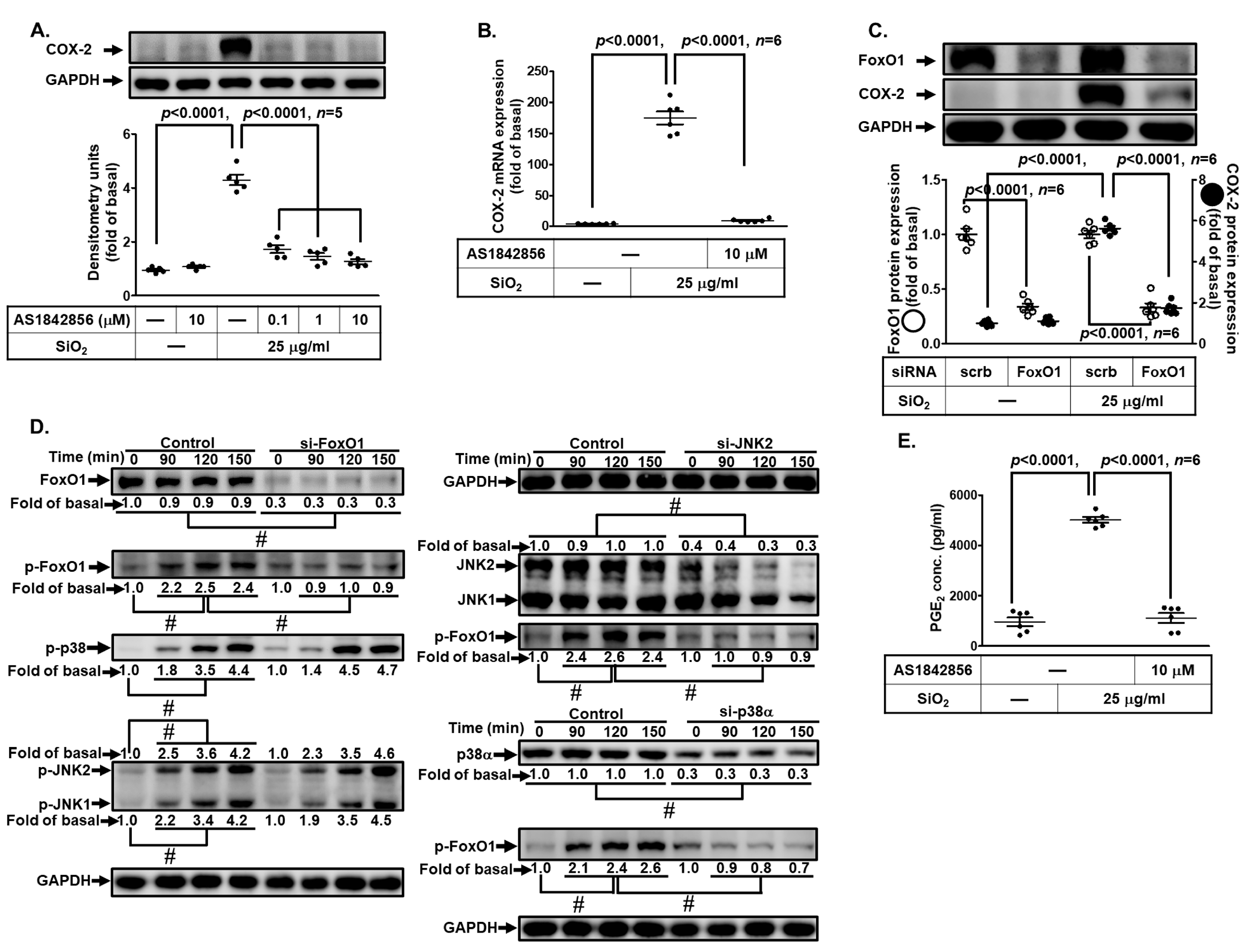 Biomedicines 11 02628 g009