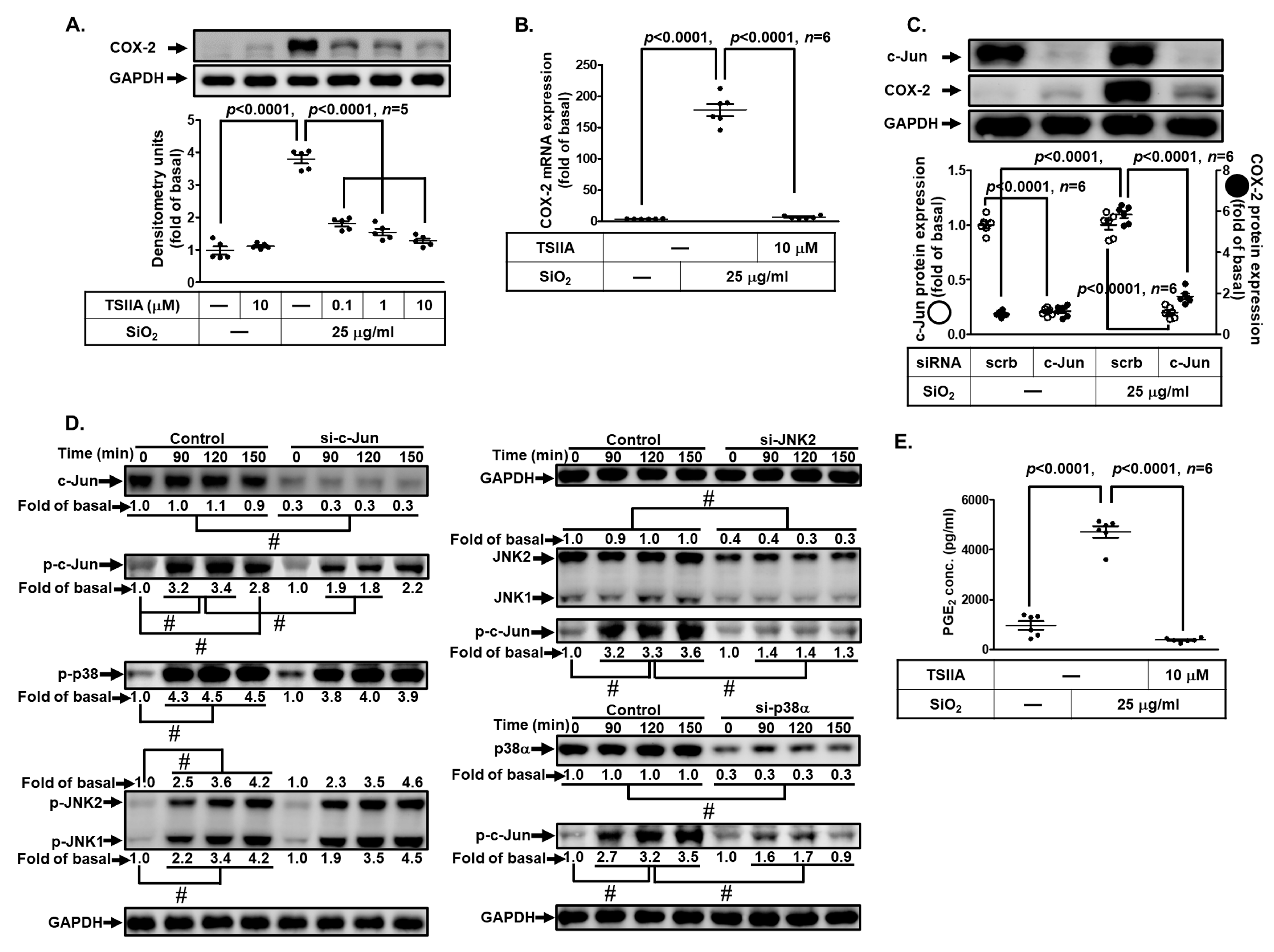 Biomedicines 11 02628 g010