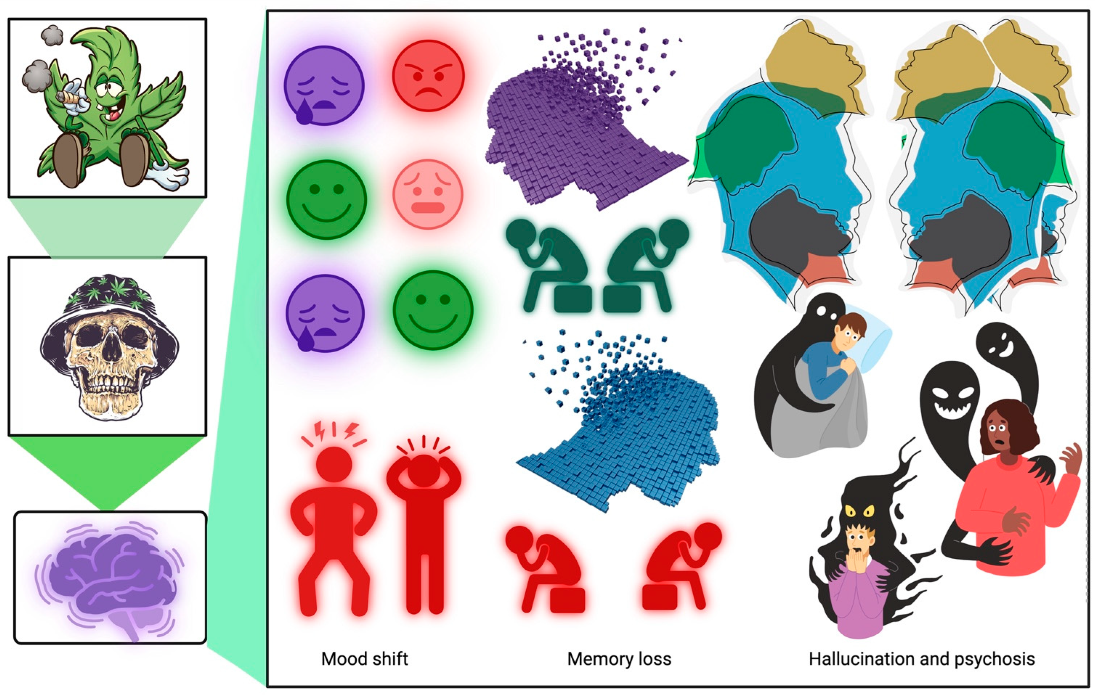 Biomedicines 11 02630 g003