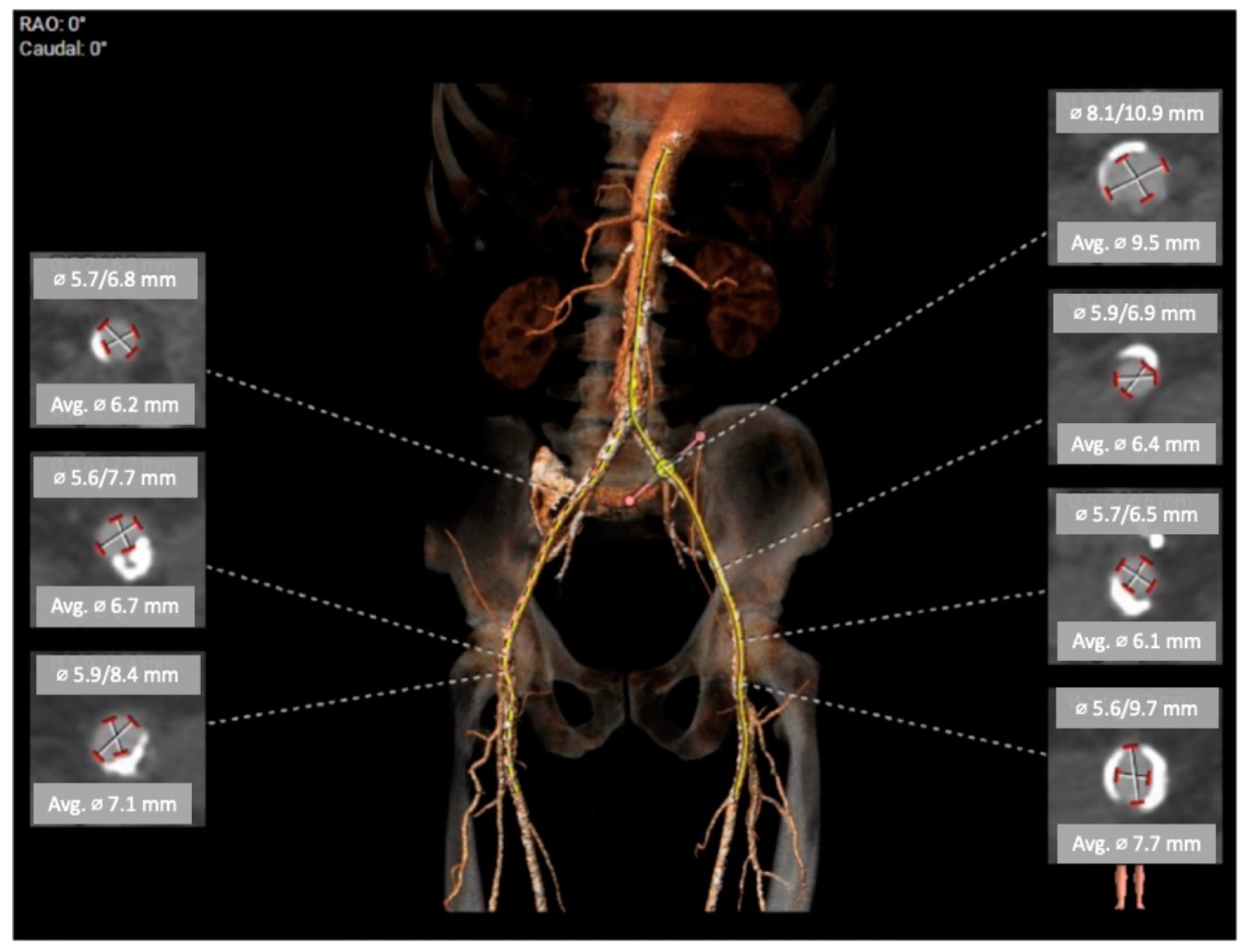 Biomedicines 11 02634 g001 Biomedicines 11 02634 g001