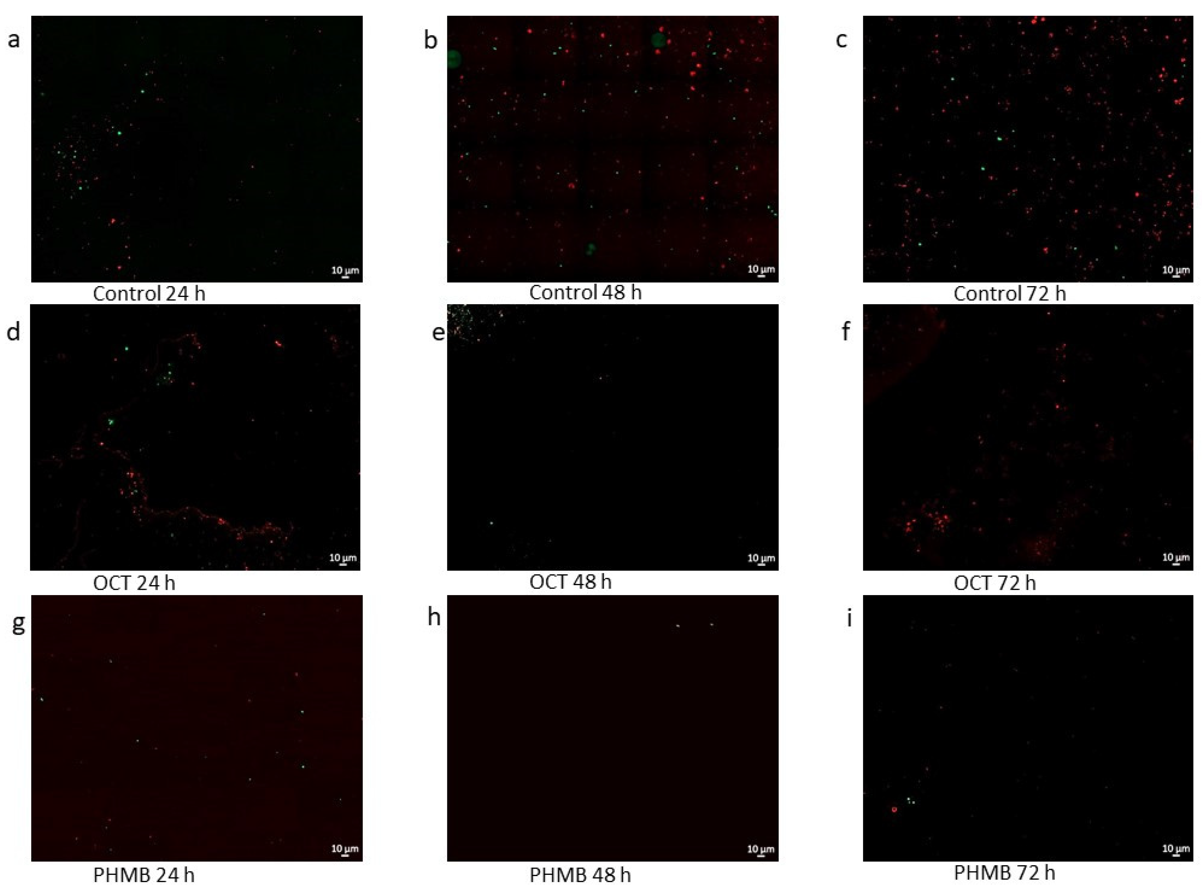 Biomedicines 11 02640 g005