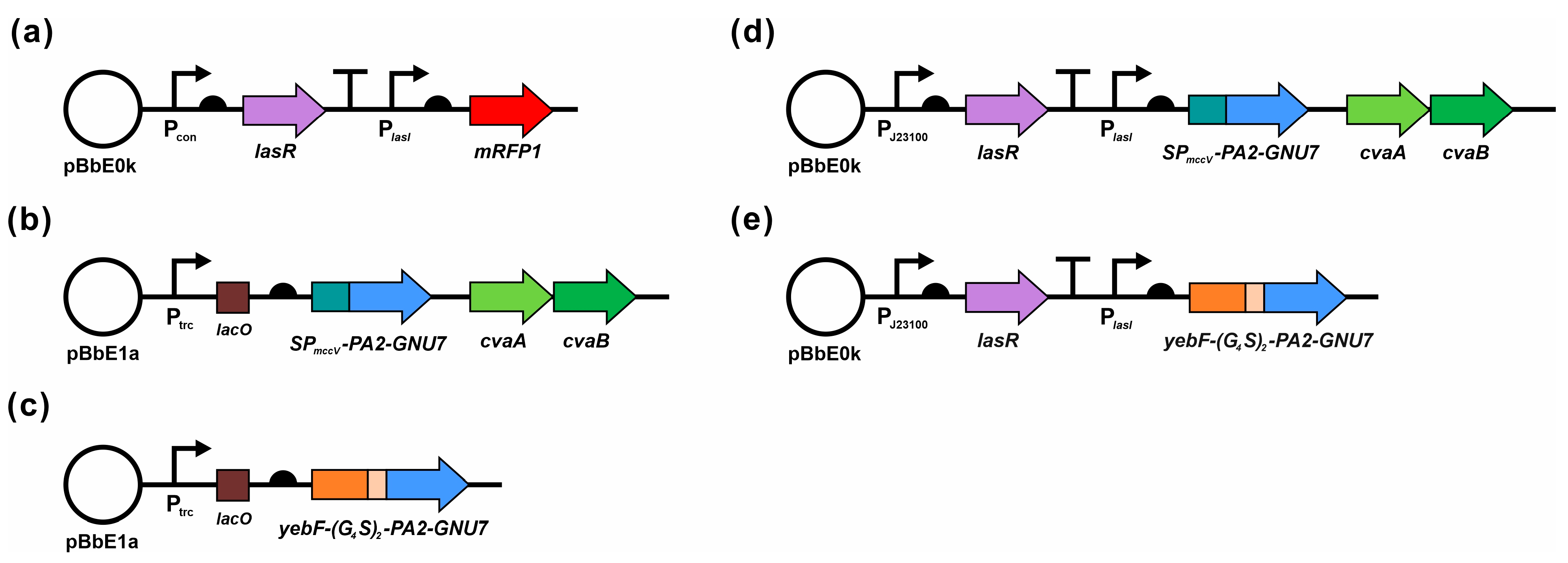 Biomedicines 11 02645 g001