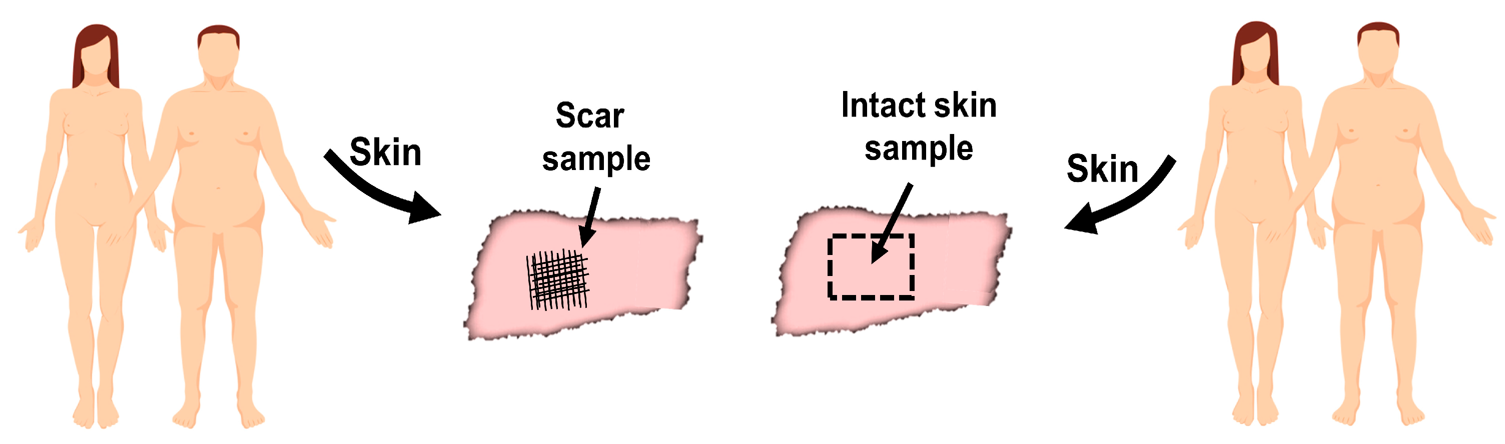 Biomedicines 11 02653 g001