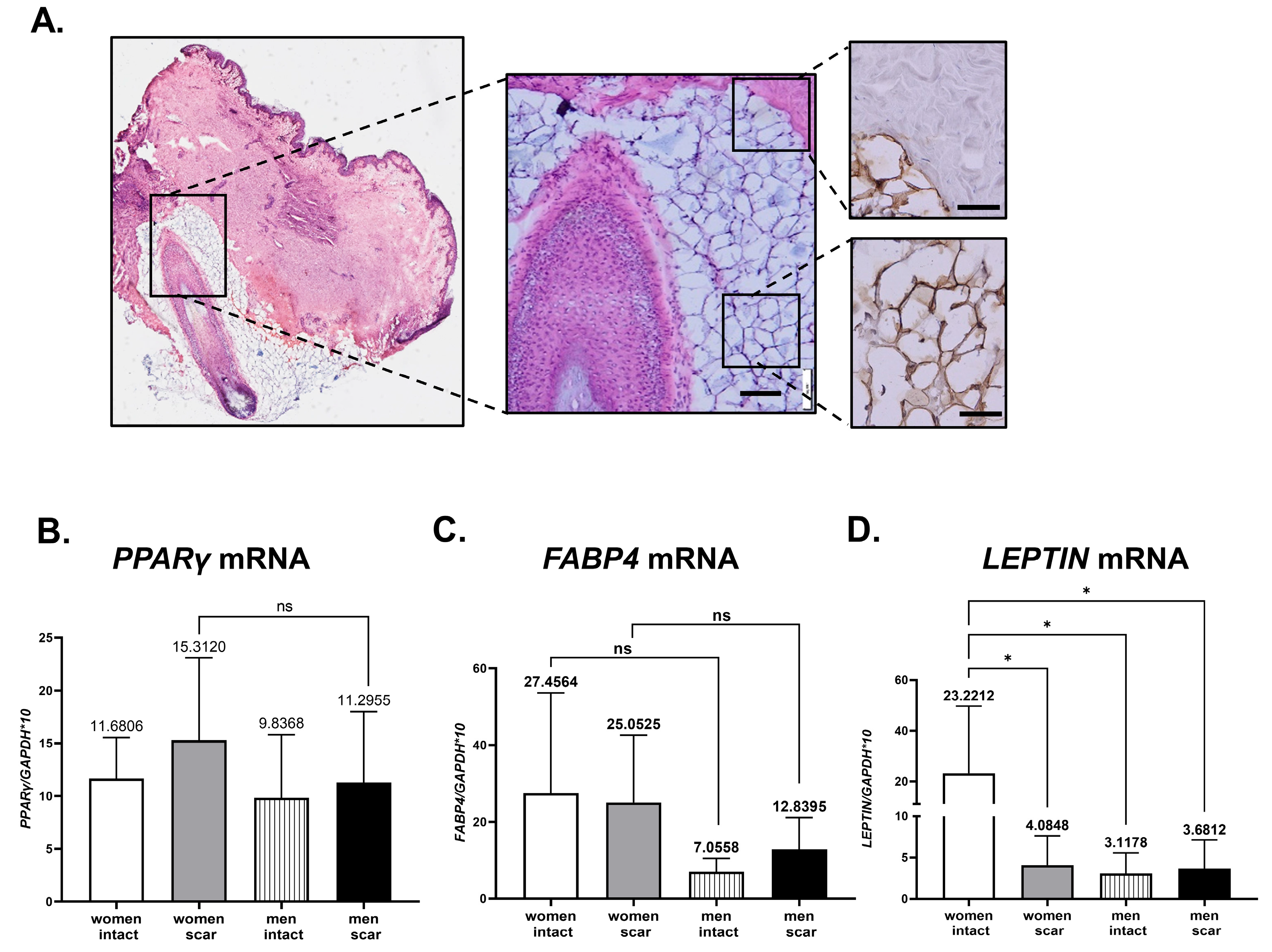 Biomedicines 11 02653 g004