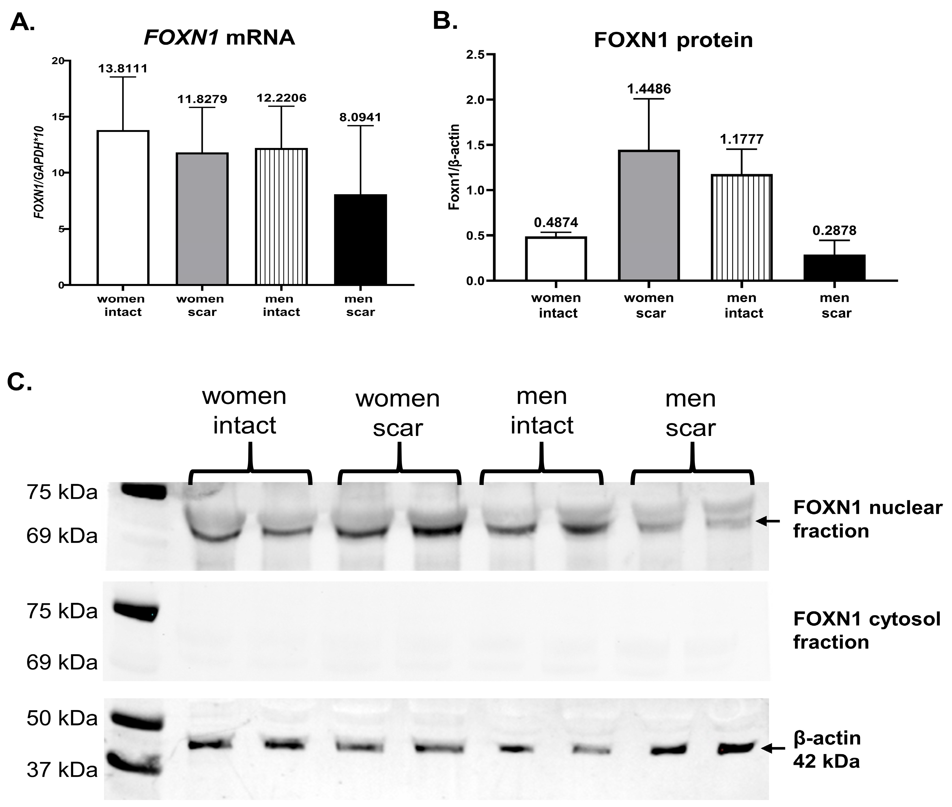 Biomedicines 11 02653 g005