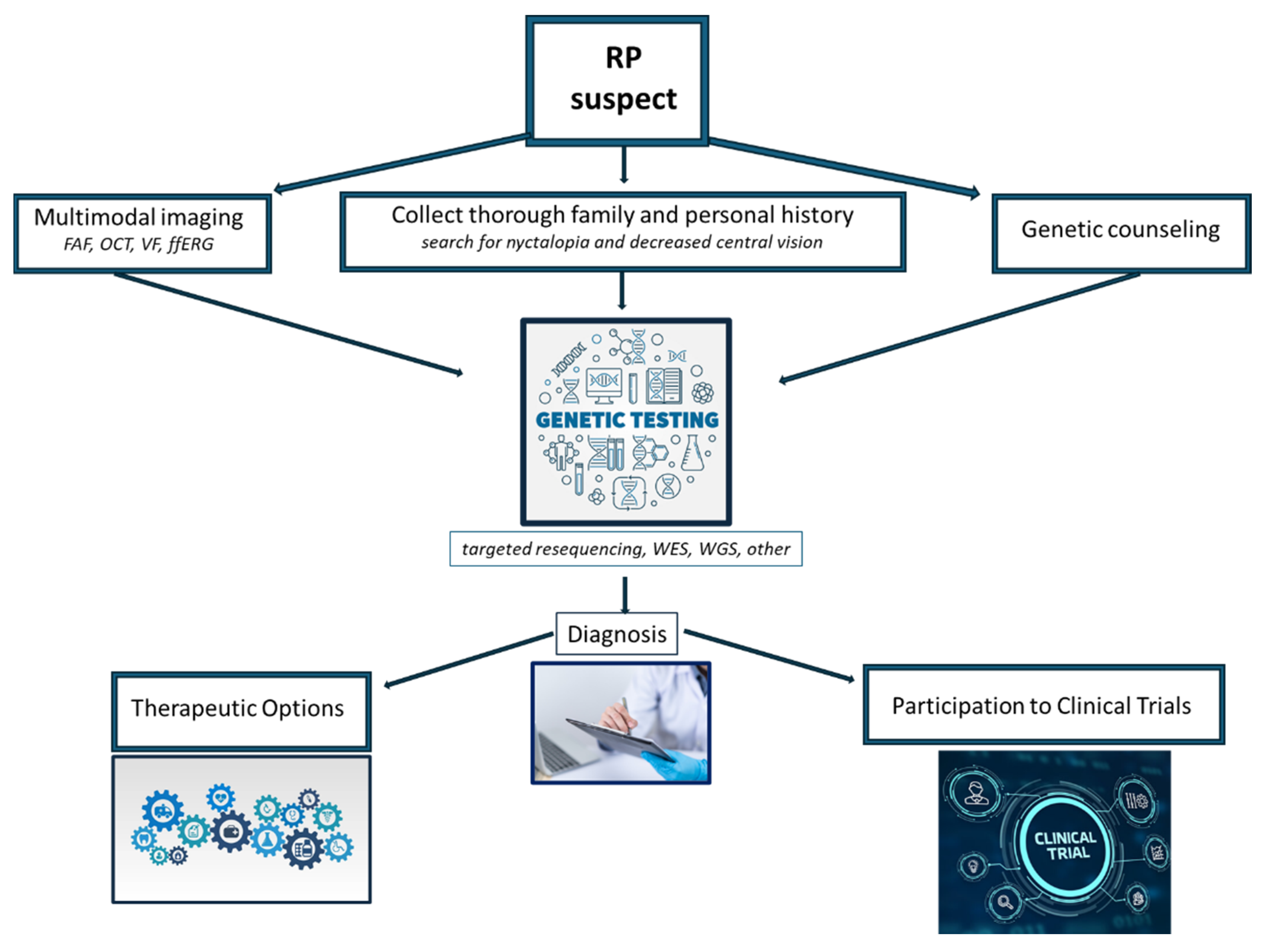 Biomedicines 11 02656 g001