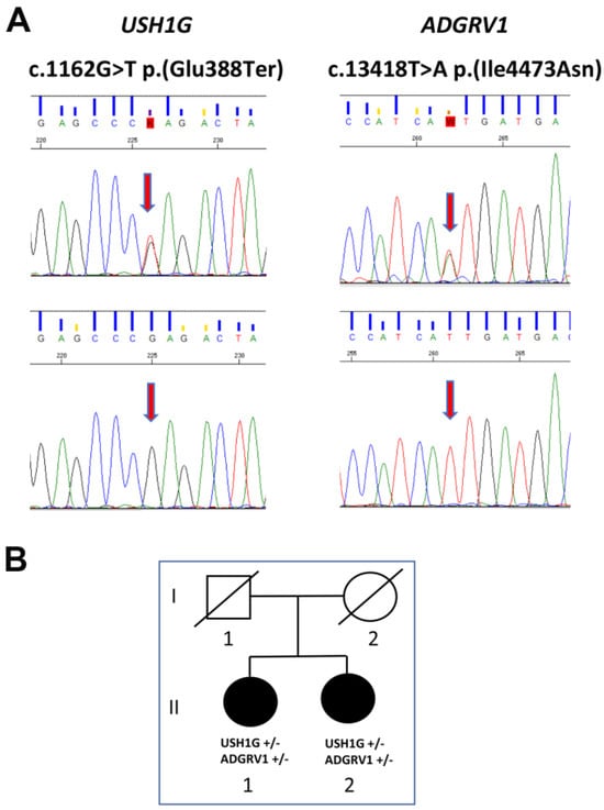 Biomedicines 11 02657 g002