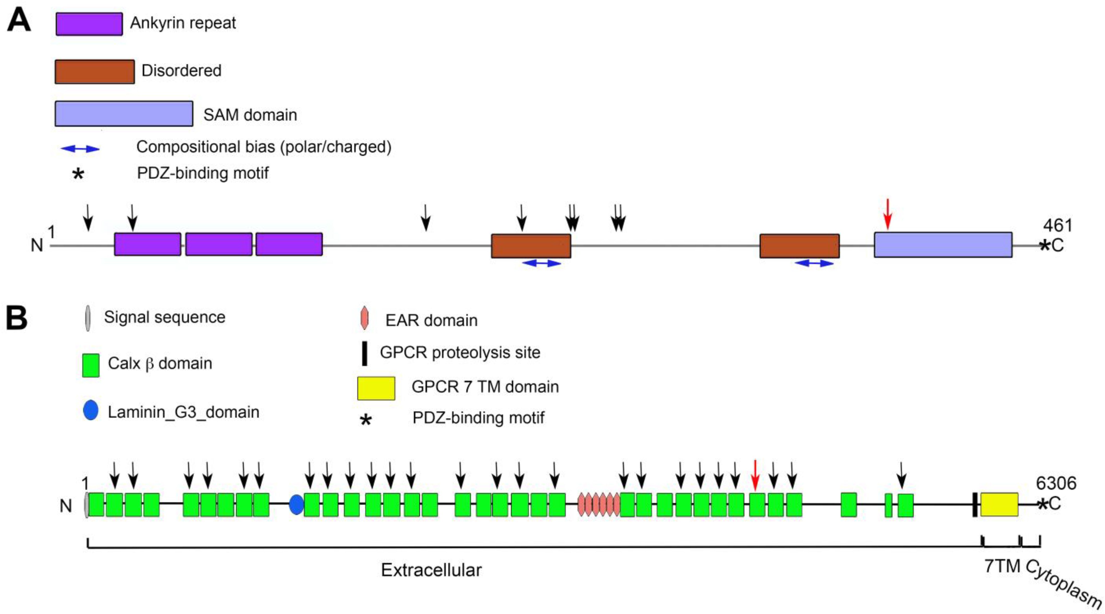 Biomedicines 11 02657 g003