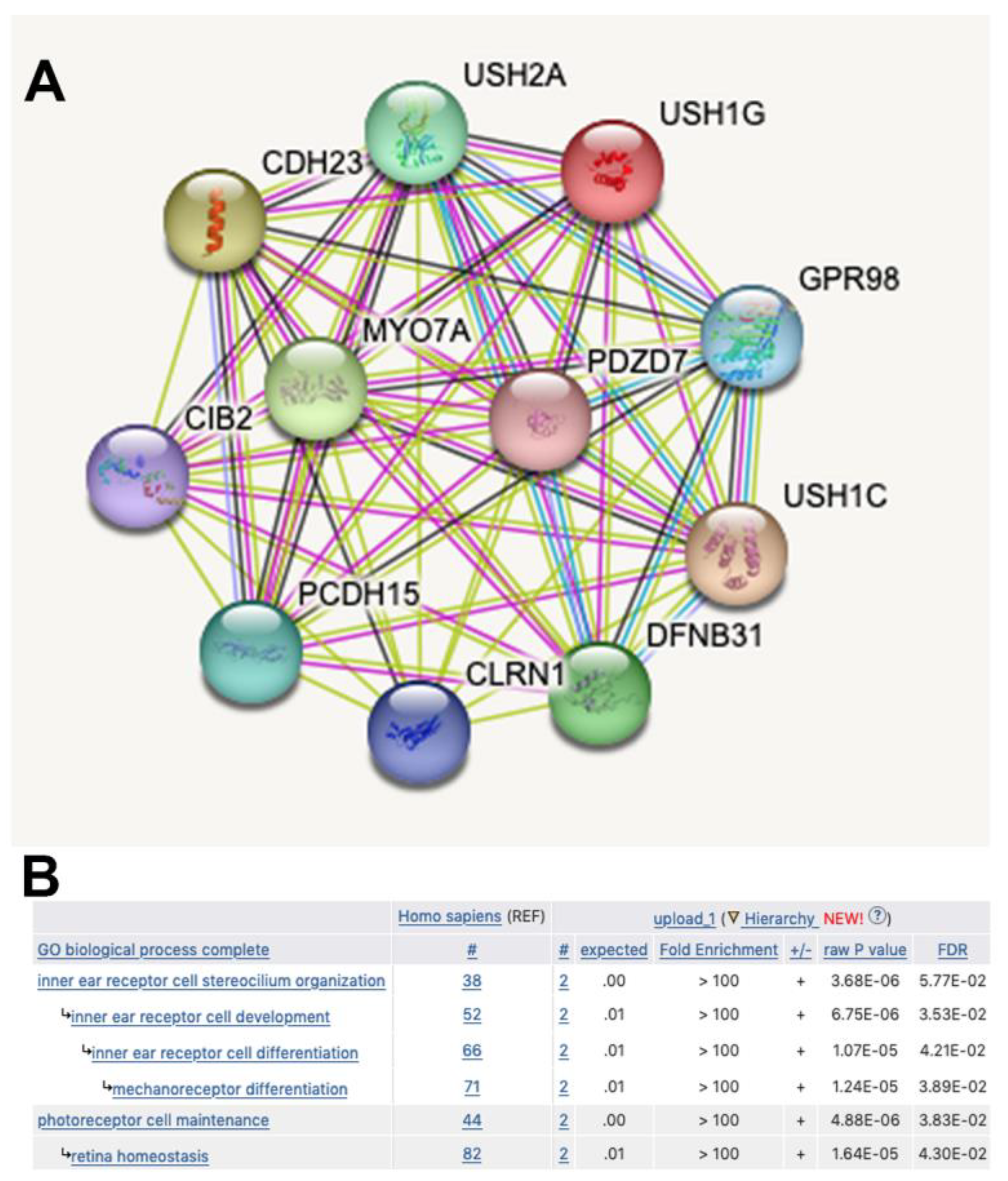 Biomedicines 11 02657 g006
