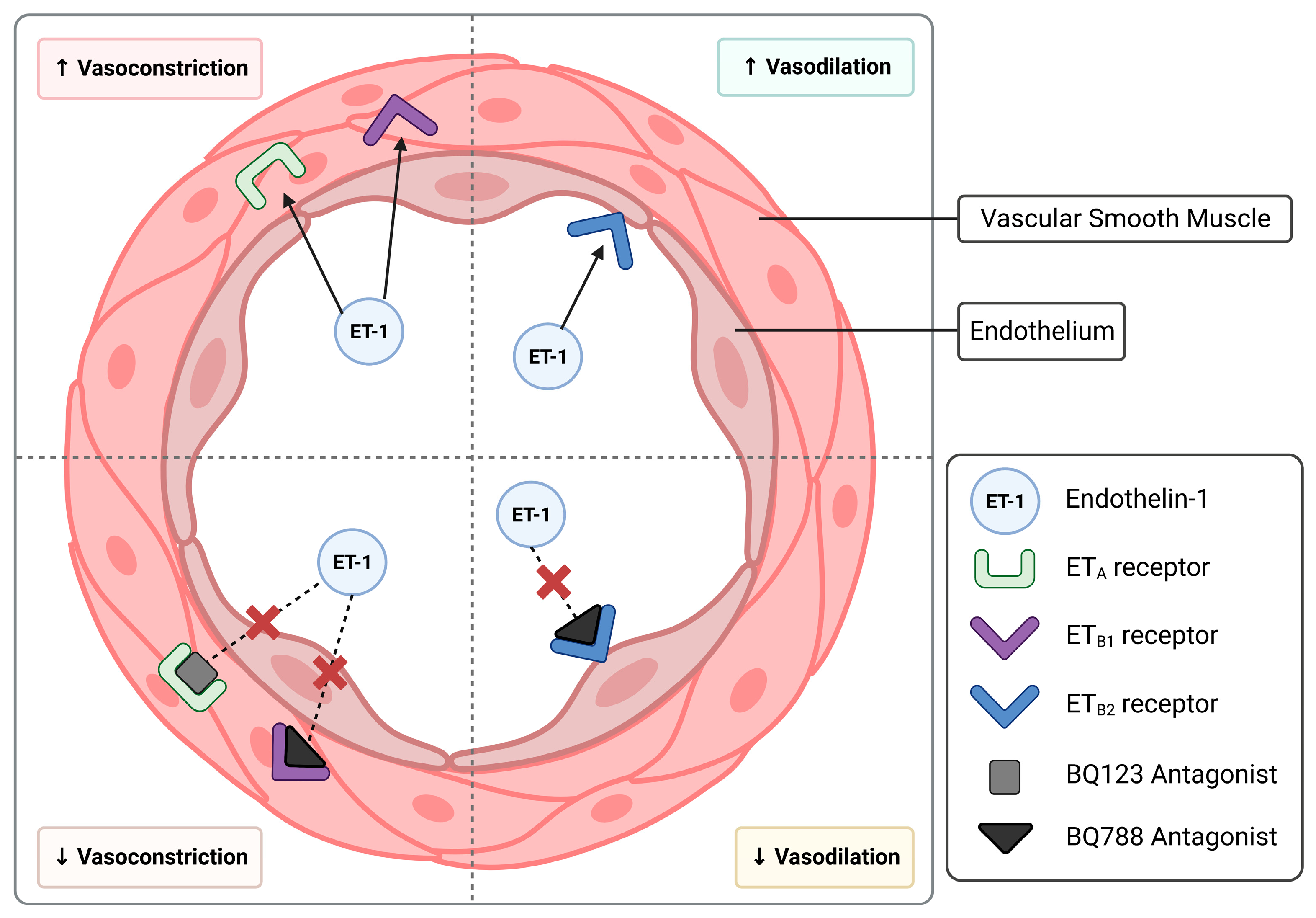 Biomedicines 11 02660 g001