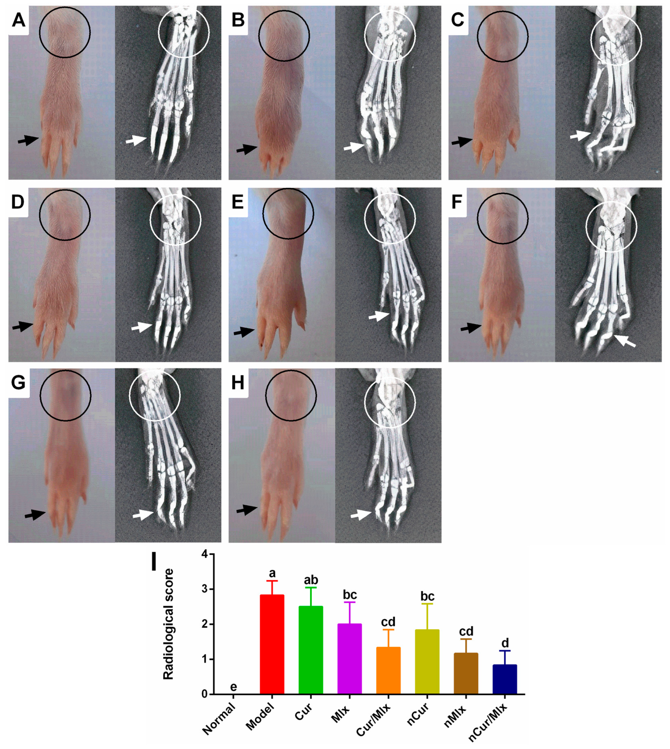 Biomedicines 11 02662 g007