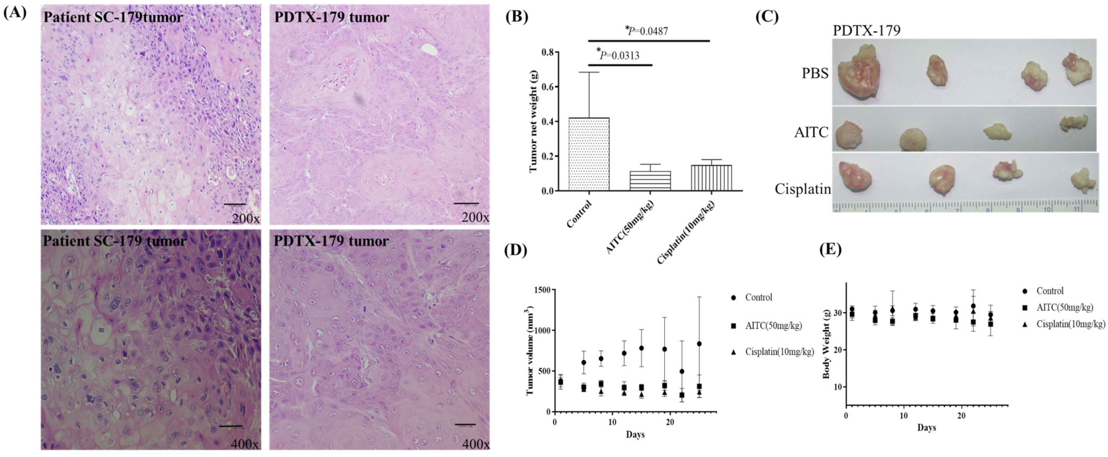 Biomedicines 11 02669 g003