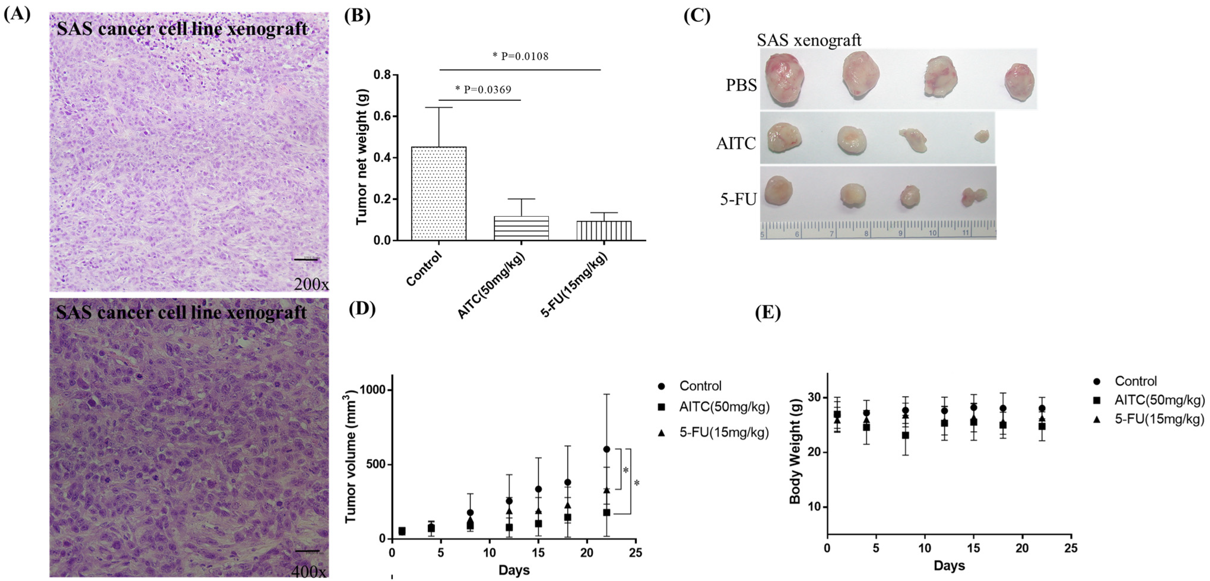 Biomedicines 11 02669 g004