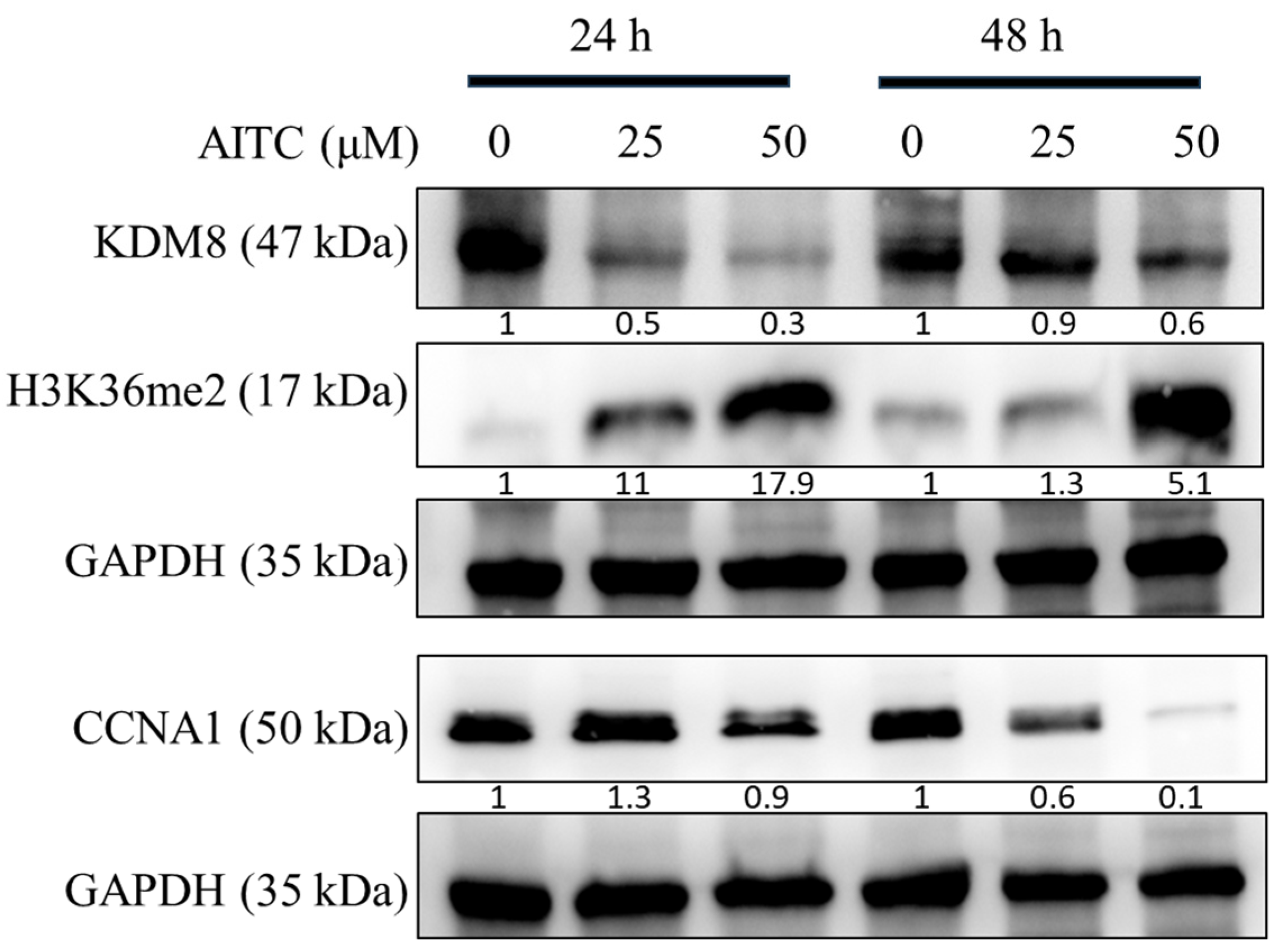 Biomedicines 11 02669 g006