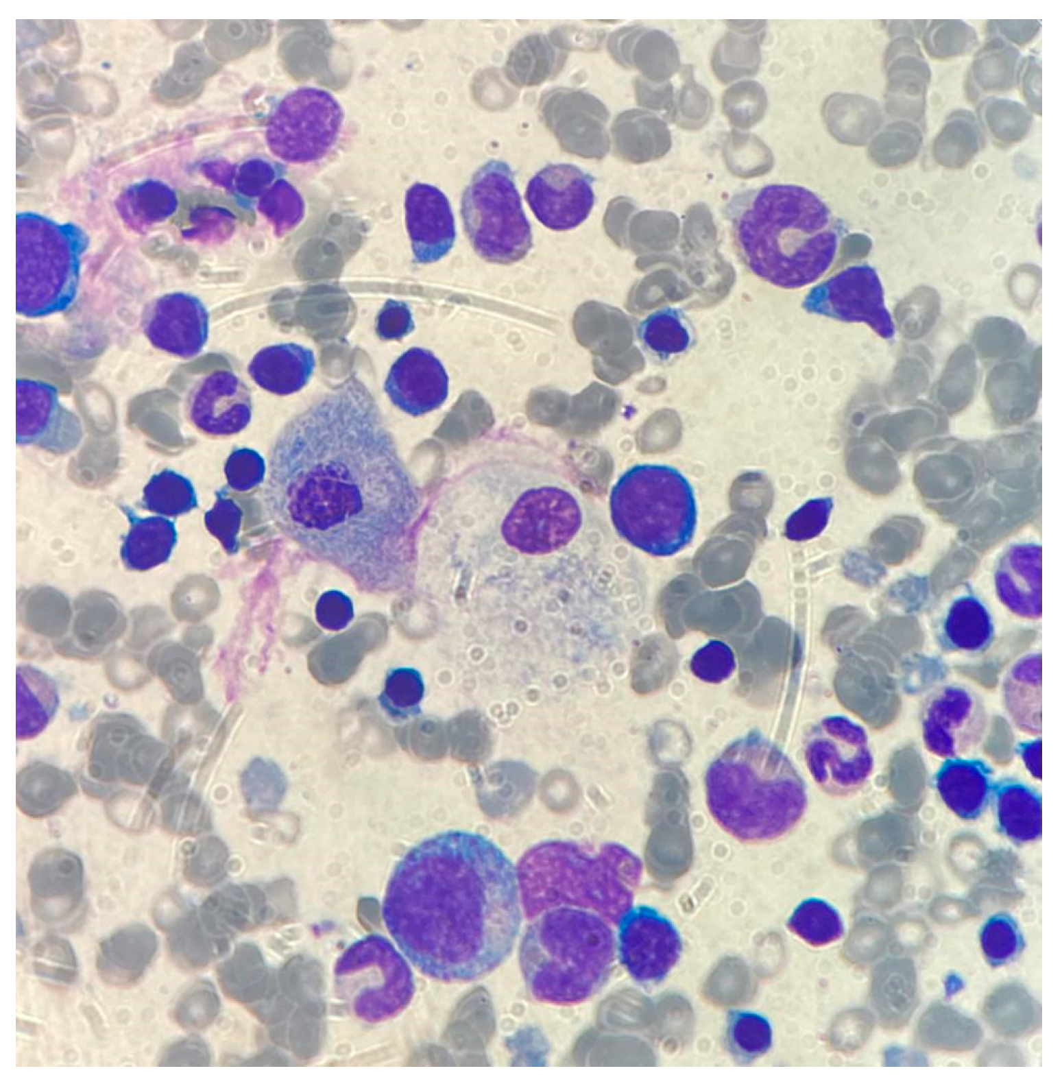 Biomedicines 11 02672 g001