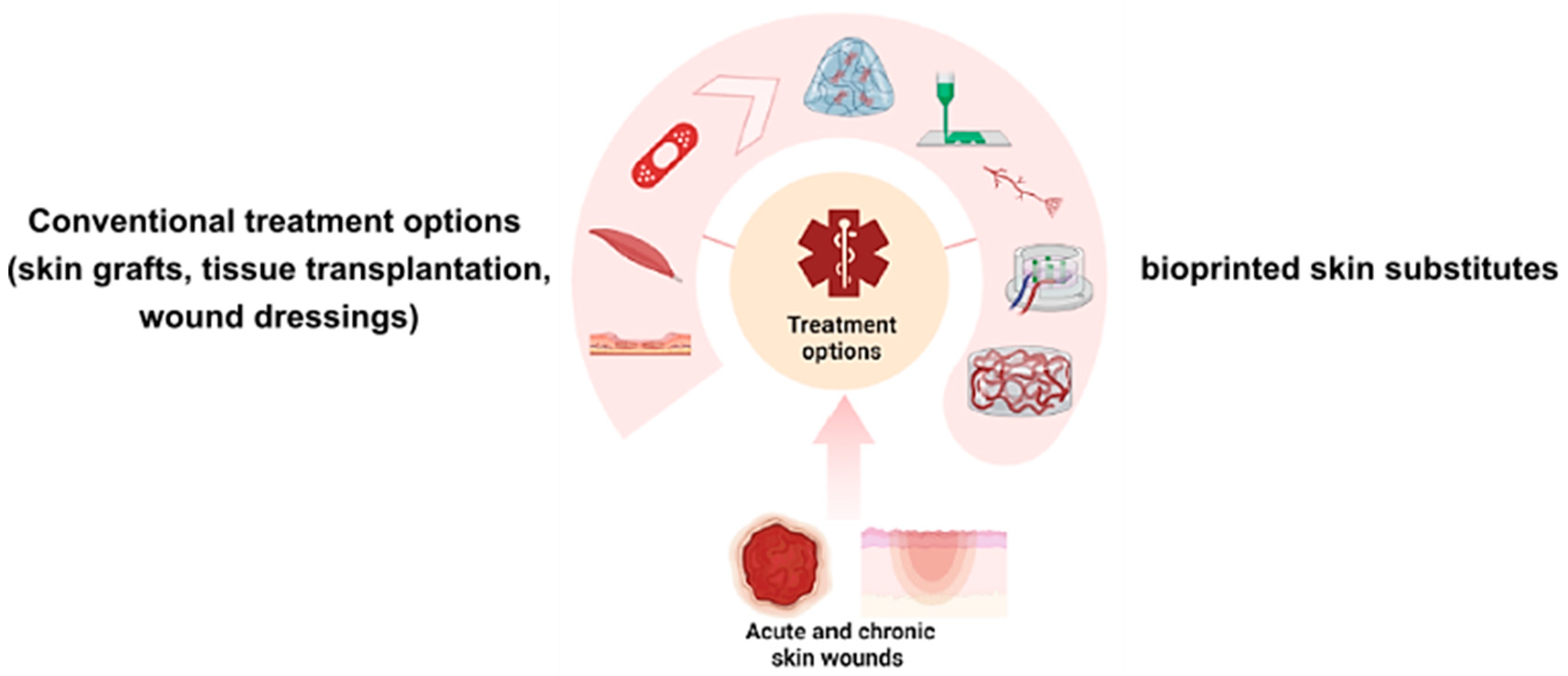 Biomedicines 11 02678 g002
