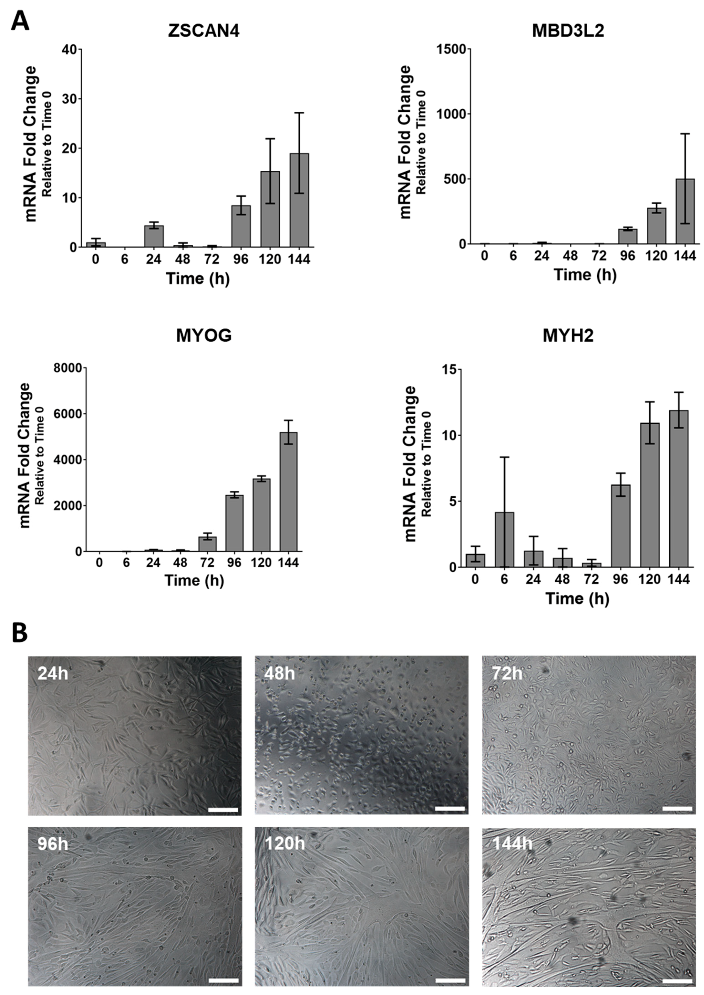 Biomedicines 11 02683 g001