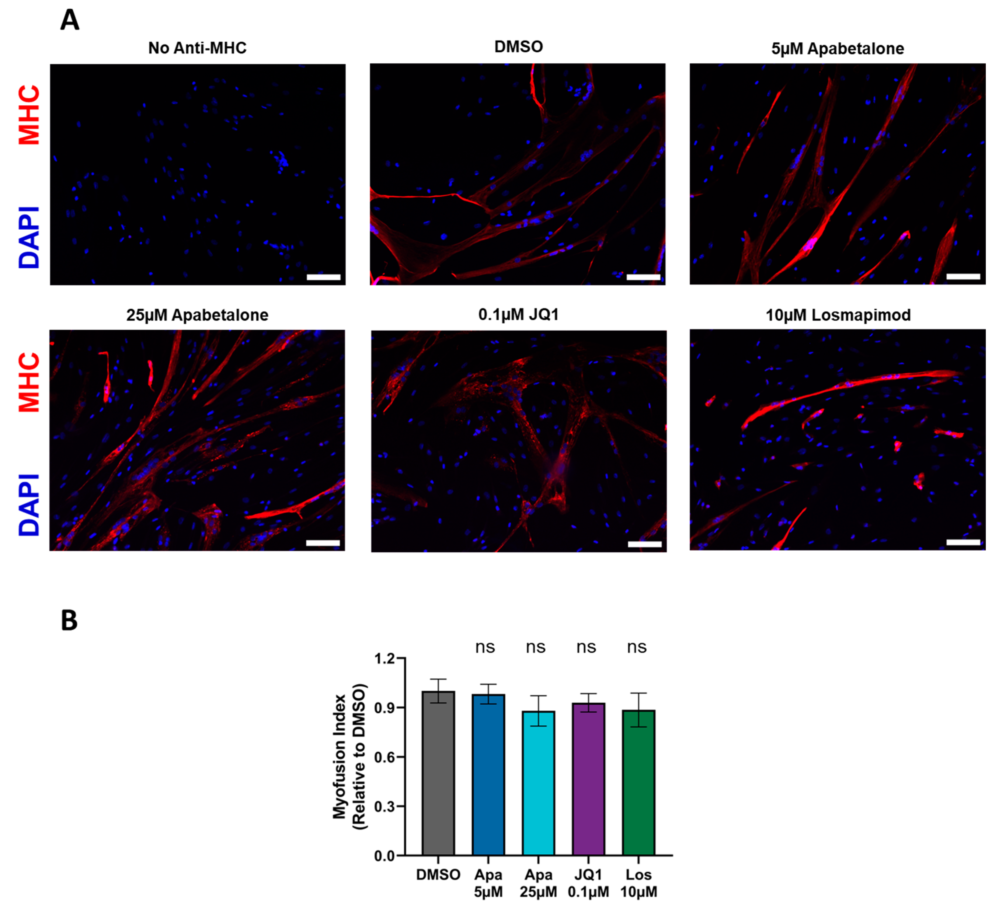 Biomedicines 11 02683 g003