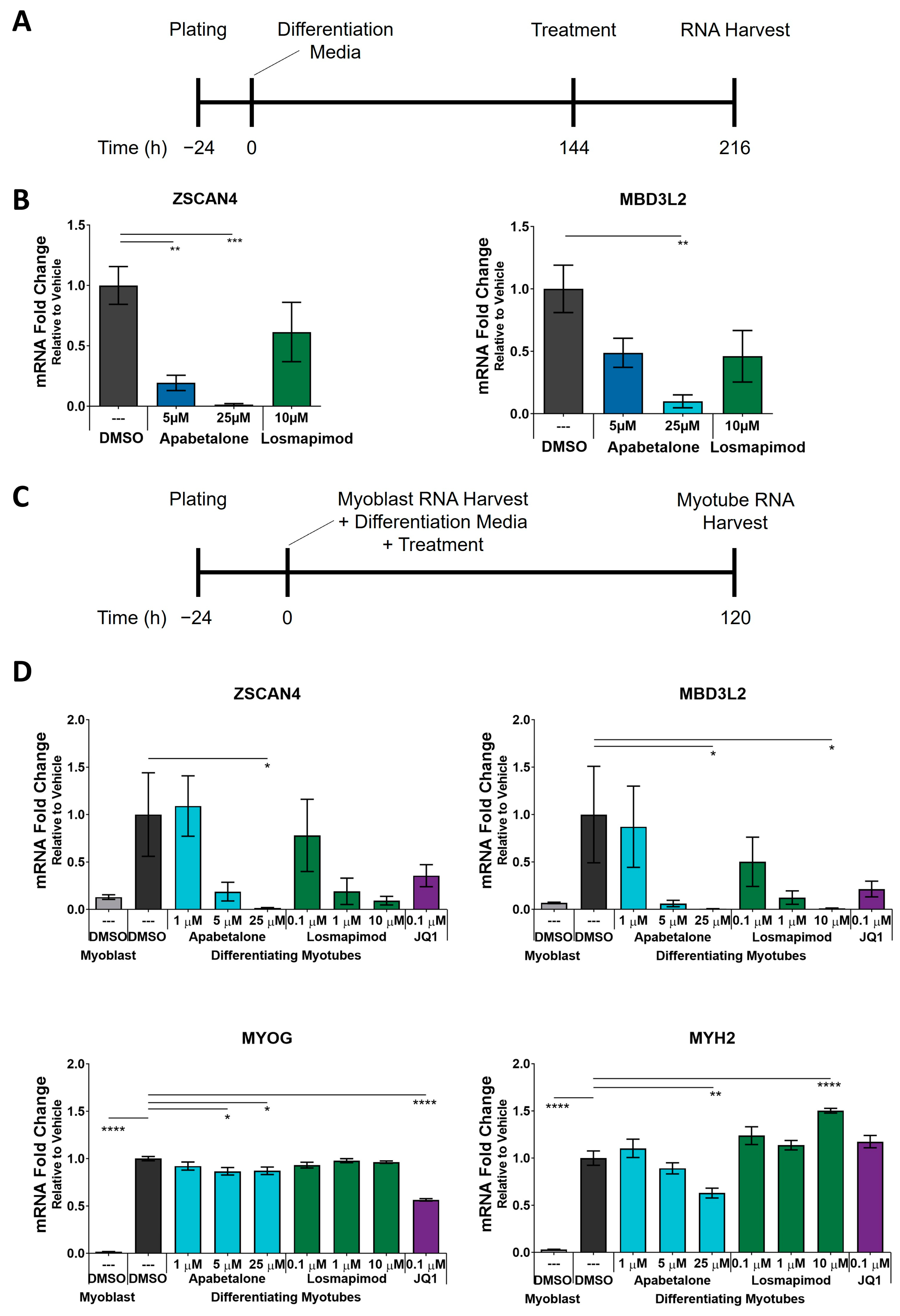 Biomedicines 11 02683 g004
