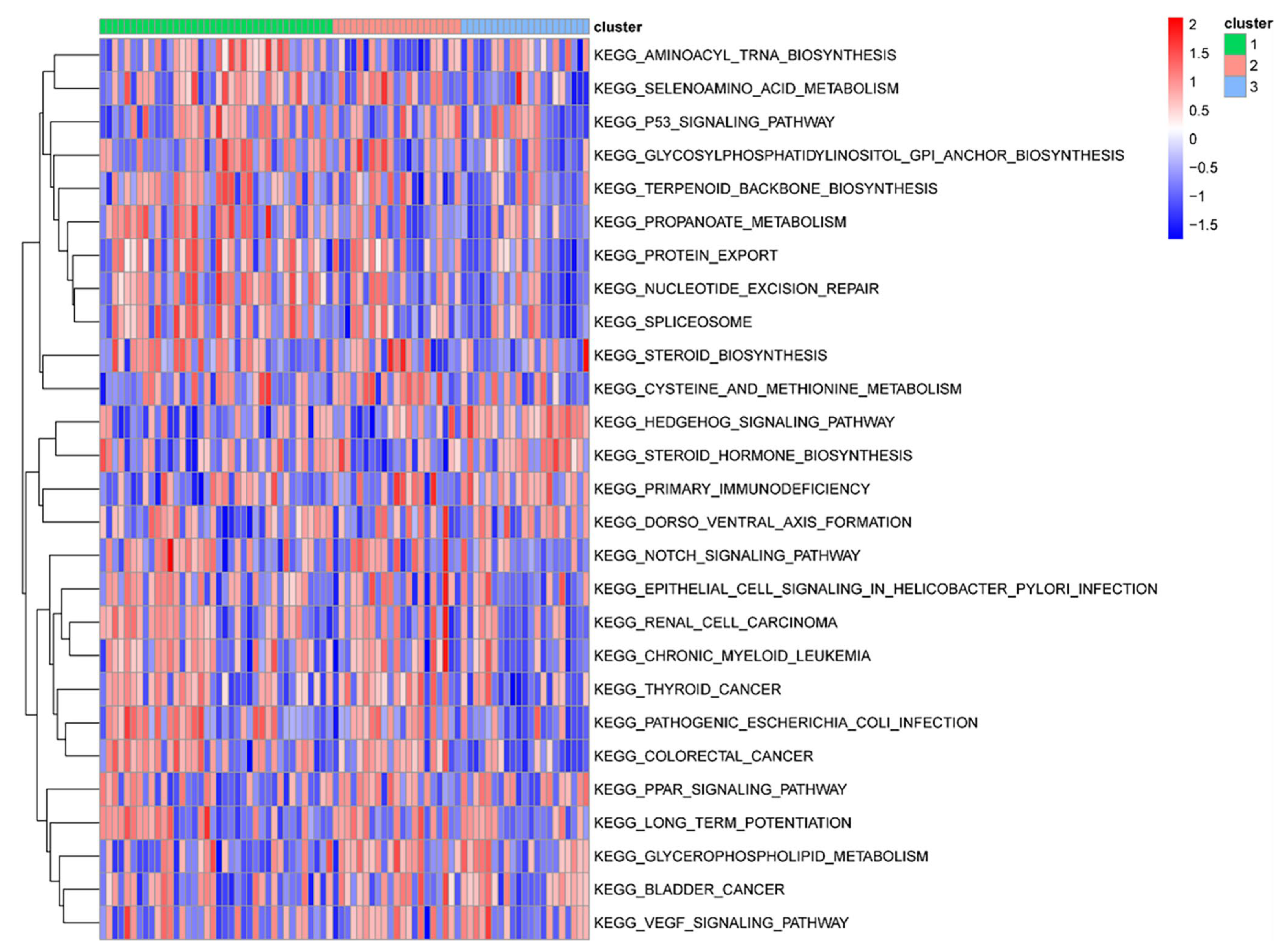 Biomedicines 11 02701 g009
