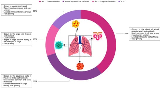 Biomedicines 11 02706 g001