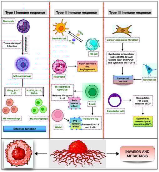 Biomedicines 11 02706 g003