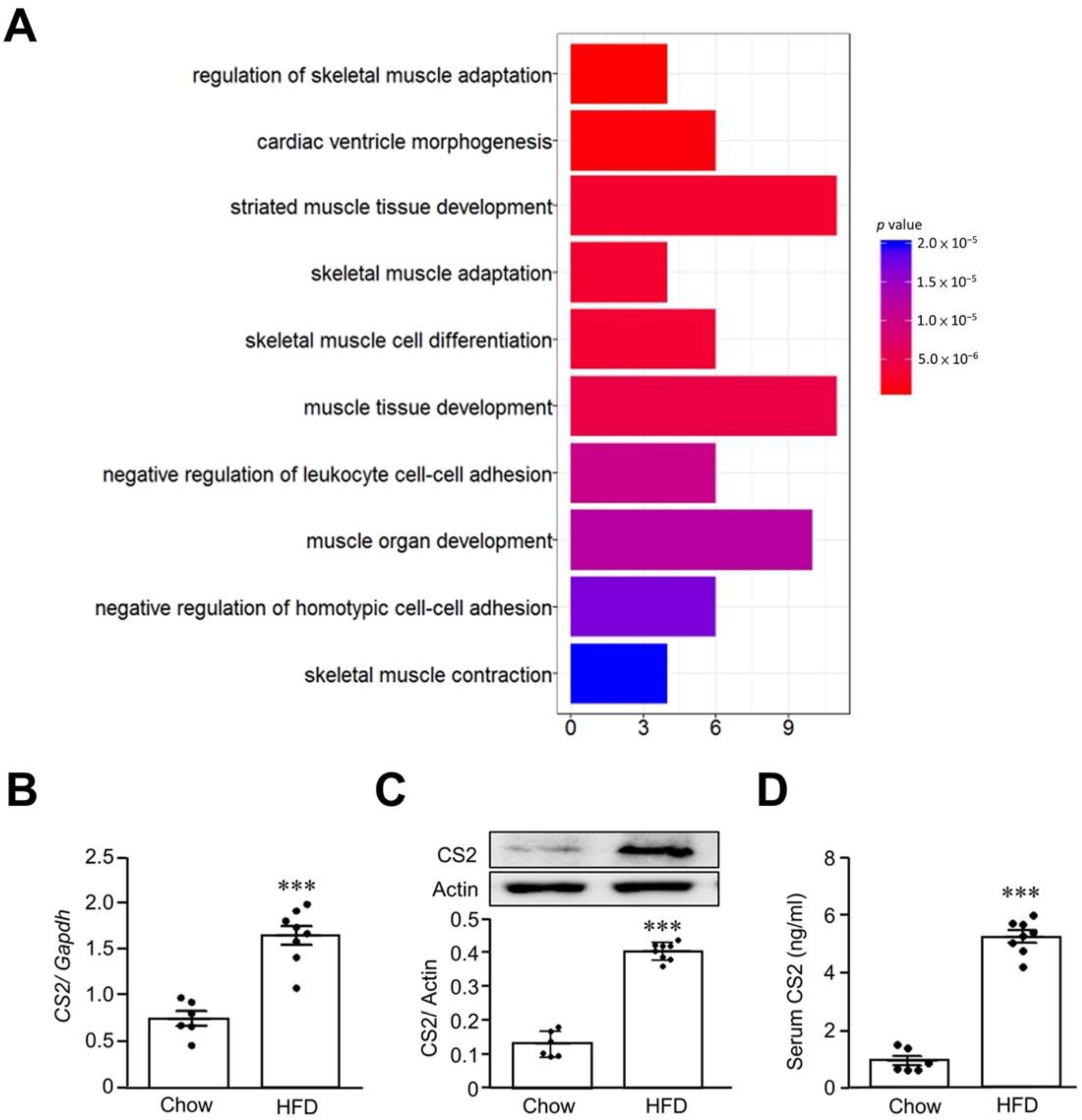 Biomedicines 11 02708 g002