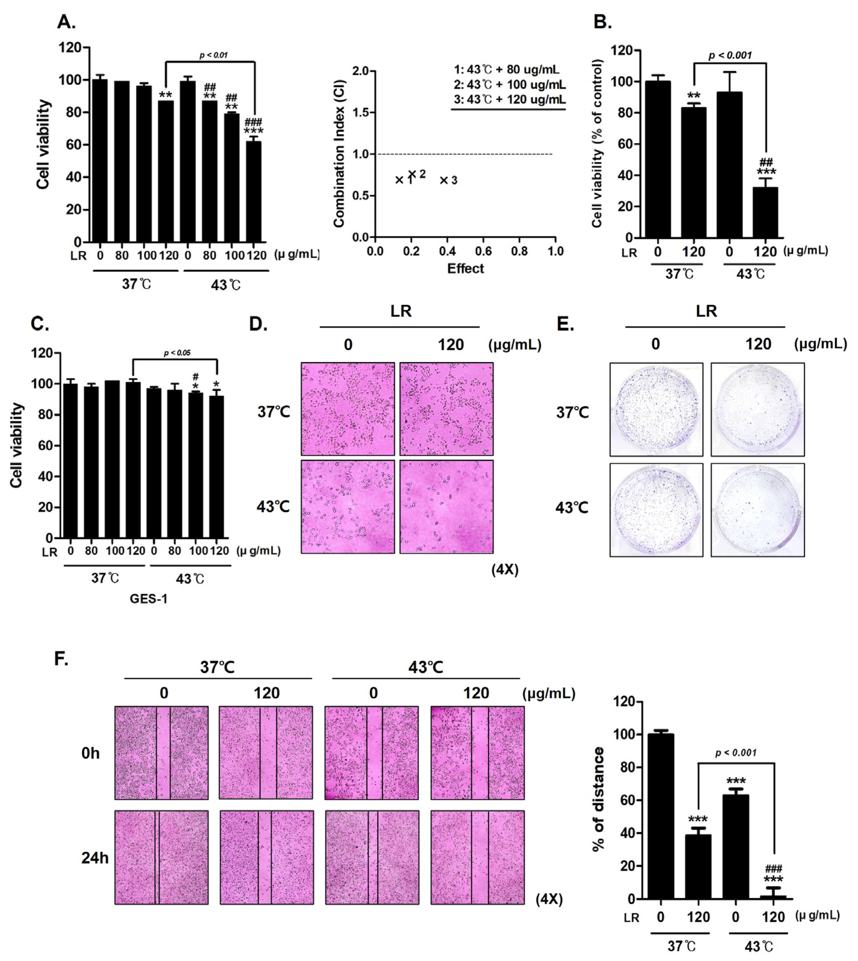Biomedicines 11 02710 g002