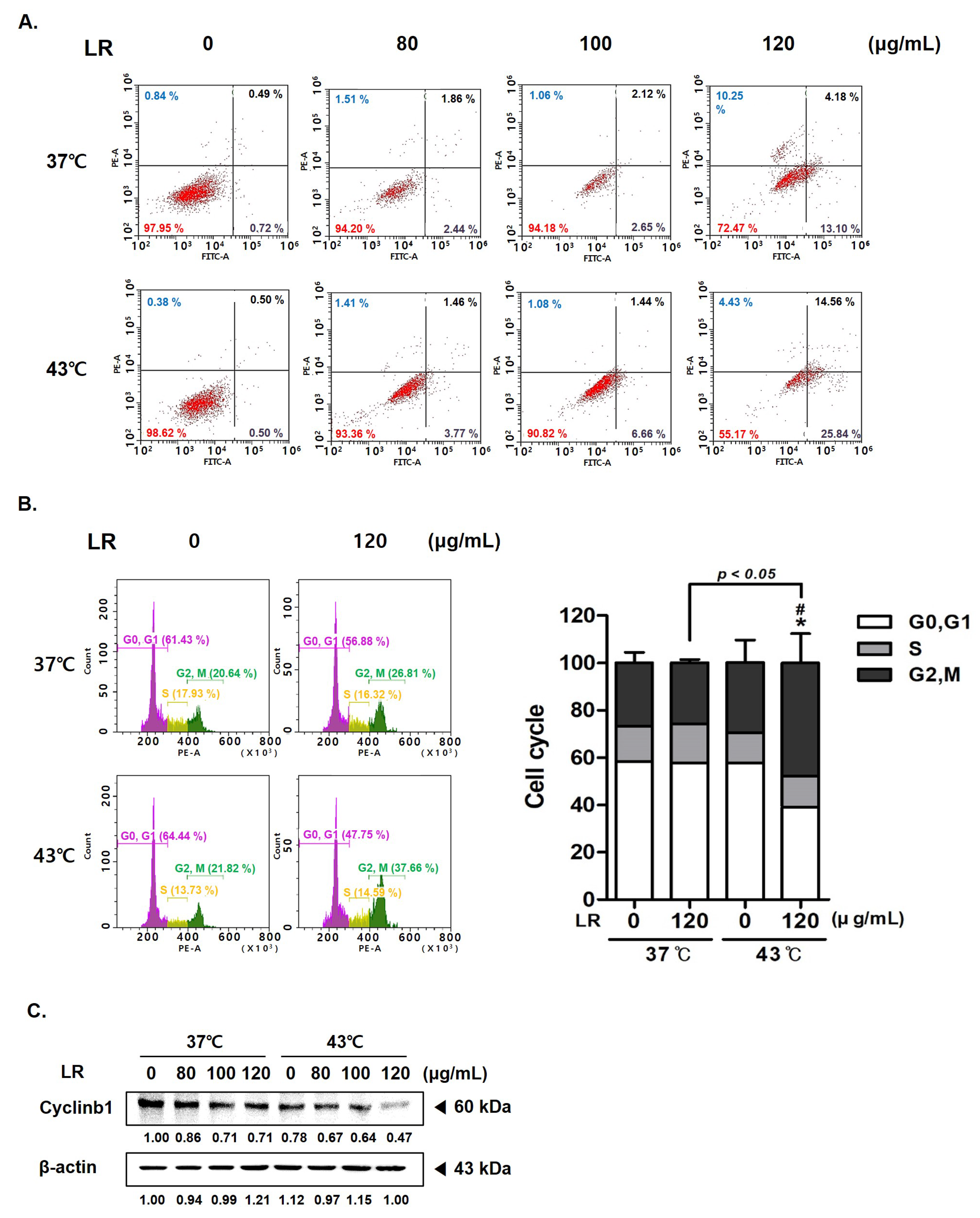 Biomedicines 11 02710 g004