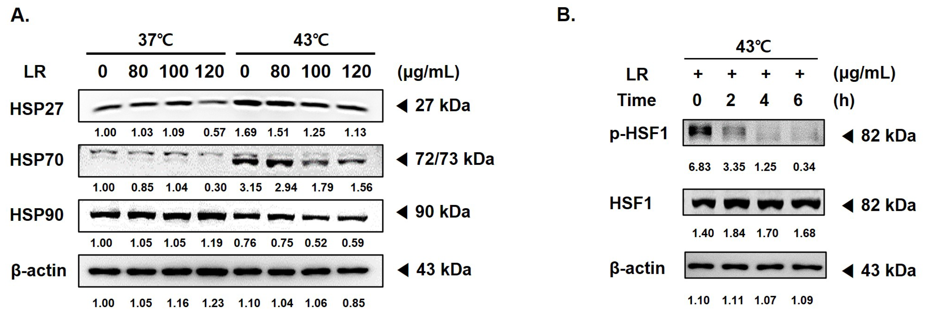 Biomedicines 11 02710 g005