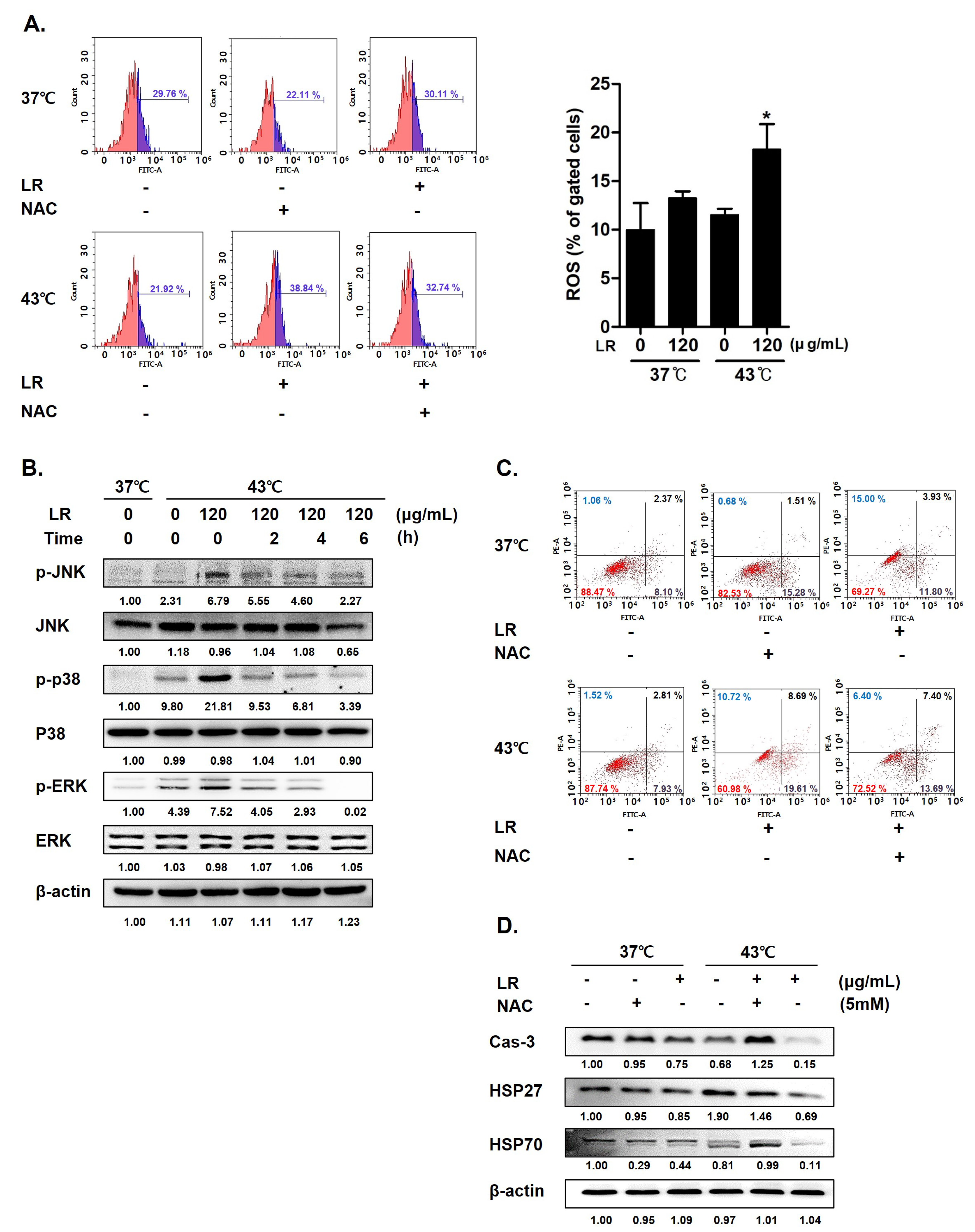 Biomedicines 11 02710 g006