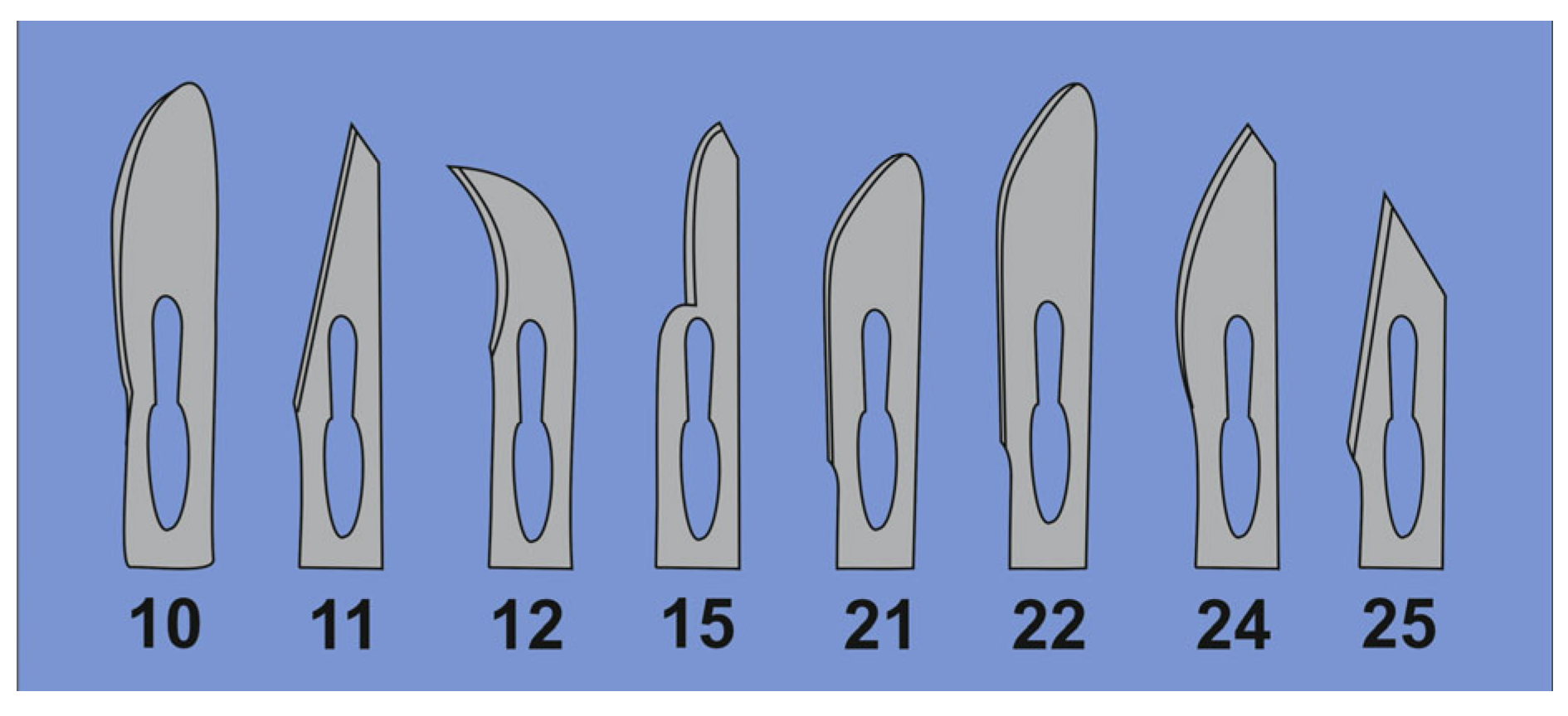 Biomedicines 11 02715 g004