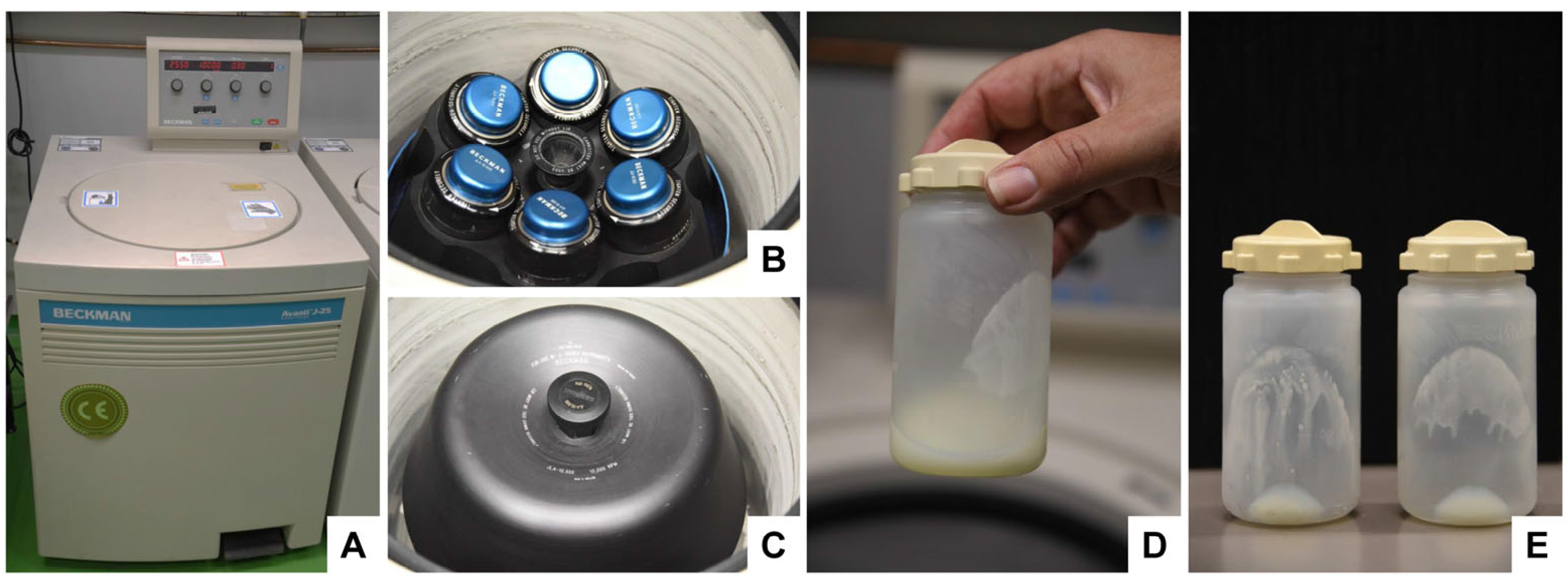 Biomedicines 11 02715 g006