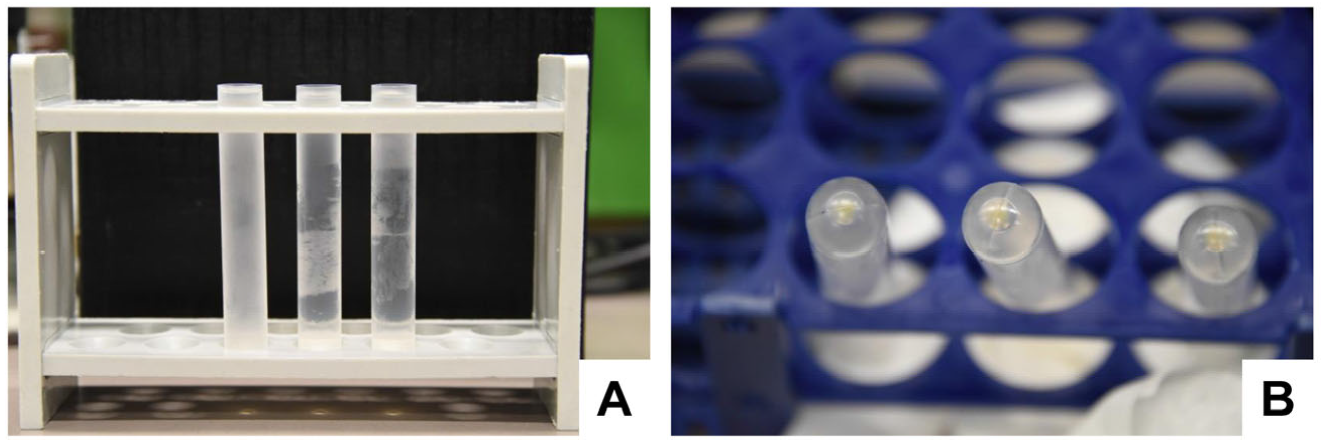 Biomedicines 11 02715 g010