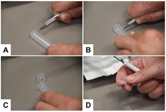Biomedicines 11 02715 g011