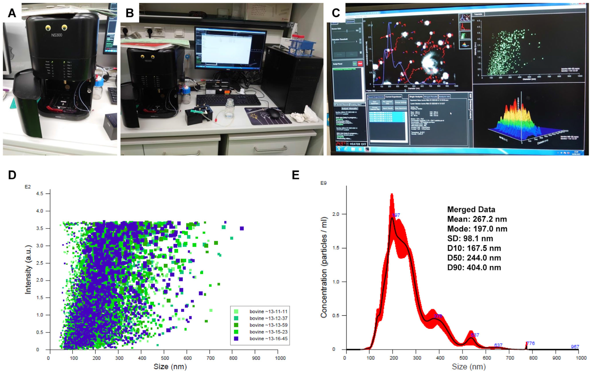 Biomedicines 11 02715 g013