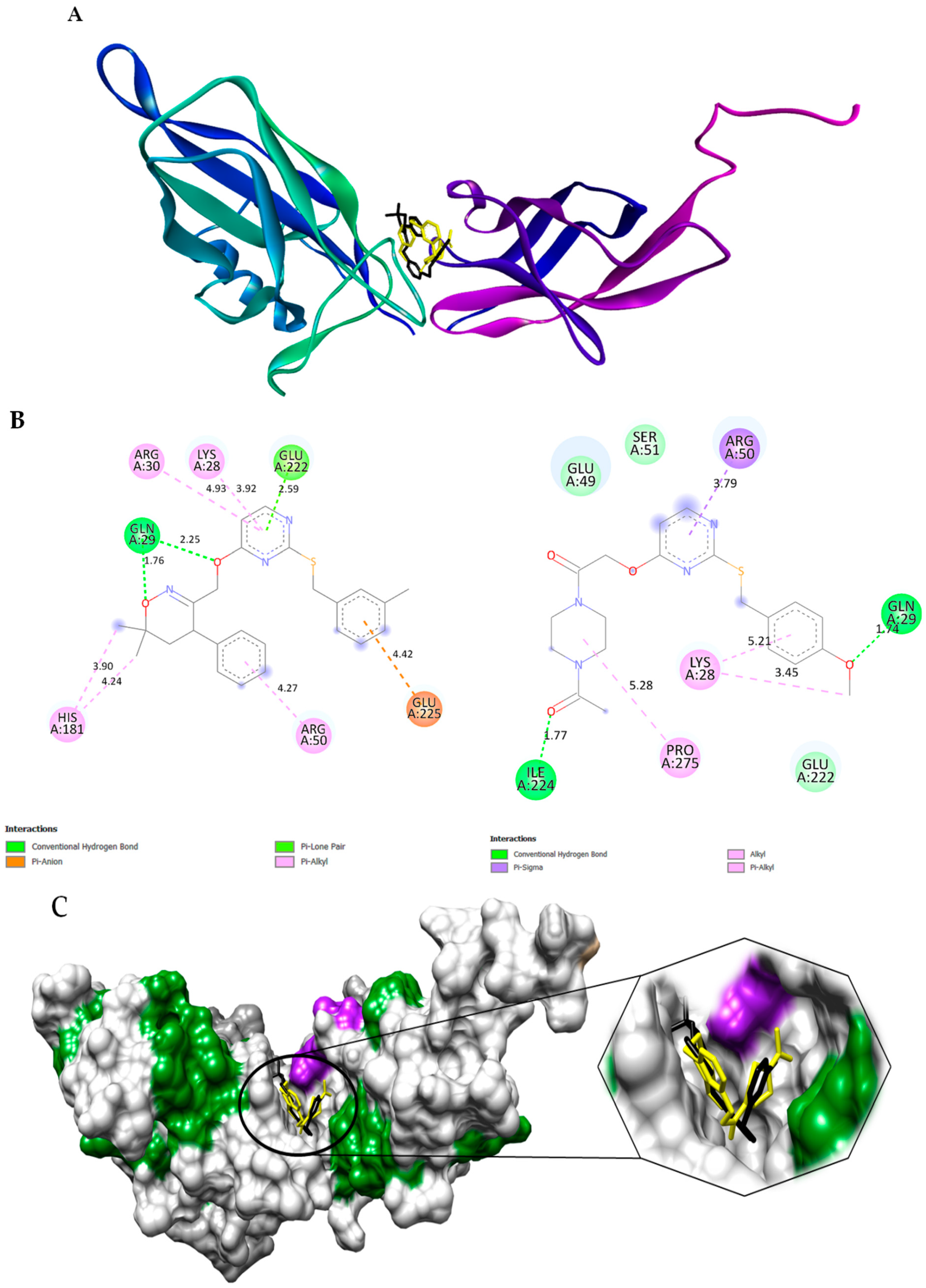 Biomedicines 11 02716 g007