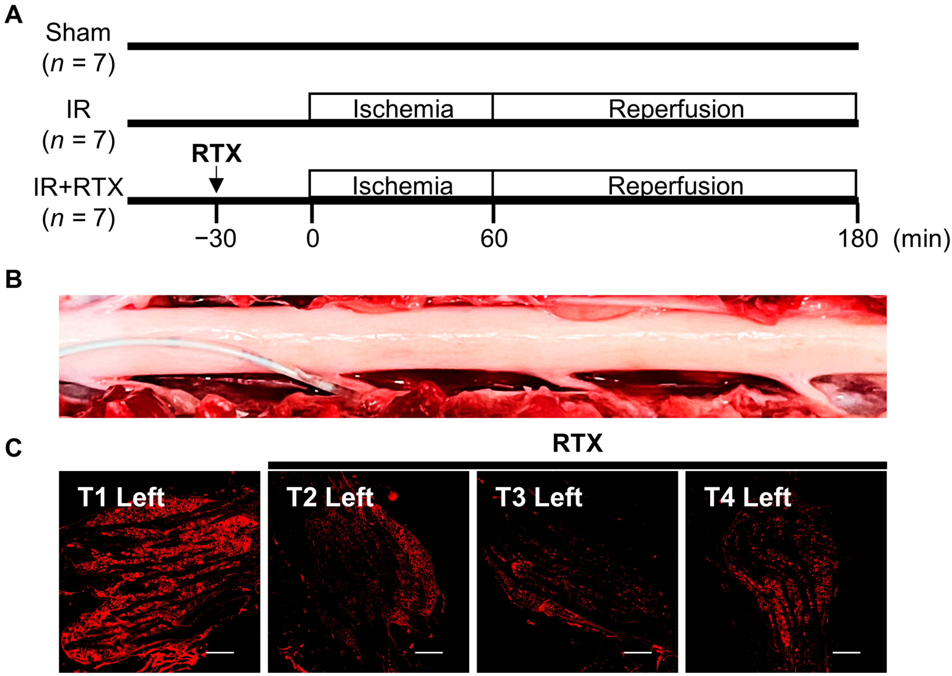 Biomedicines 11 02720 g001